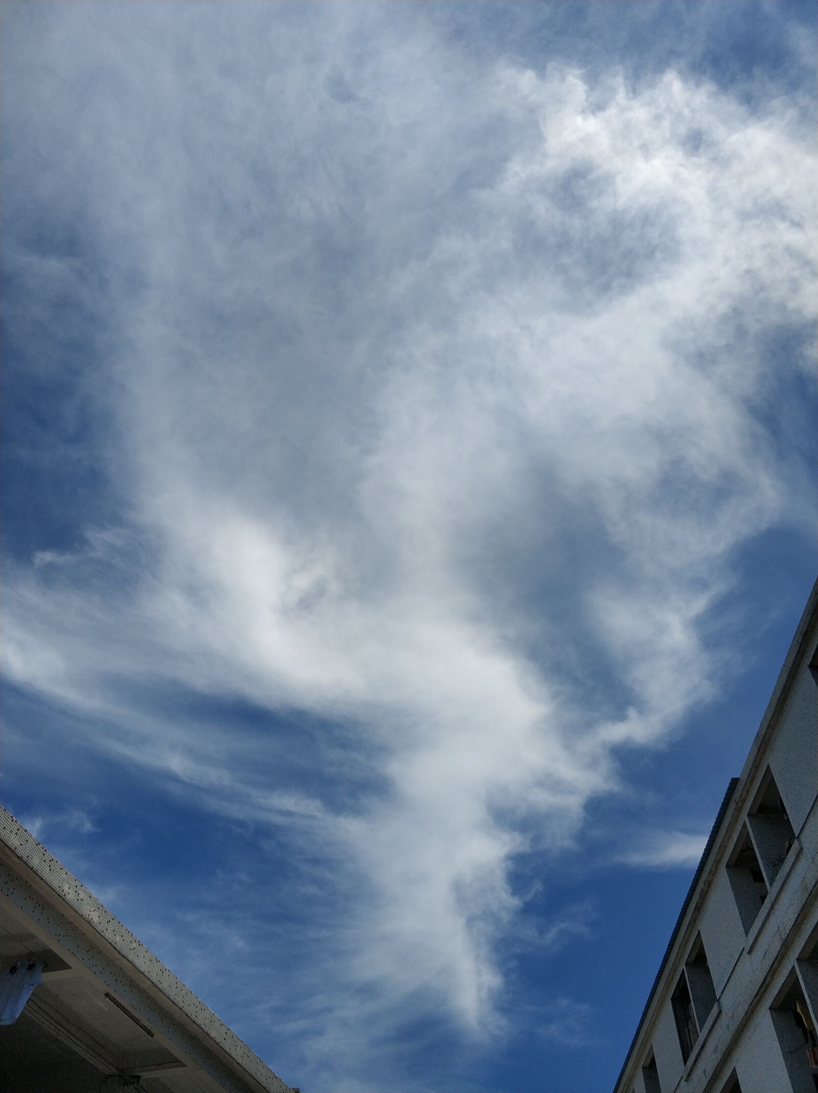 Xiaomi MI6 sample photo. Sunny days, pale cloud photography