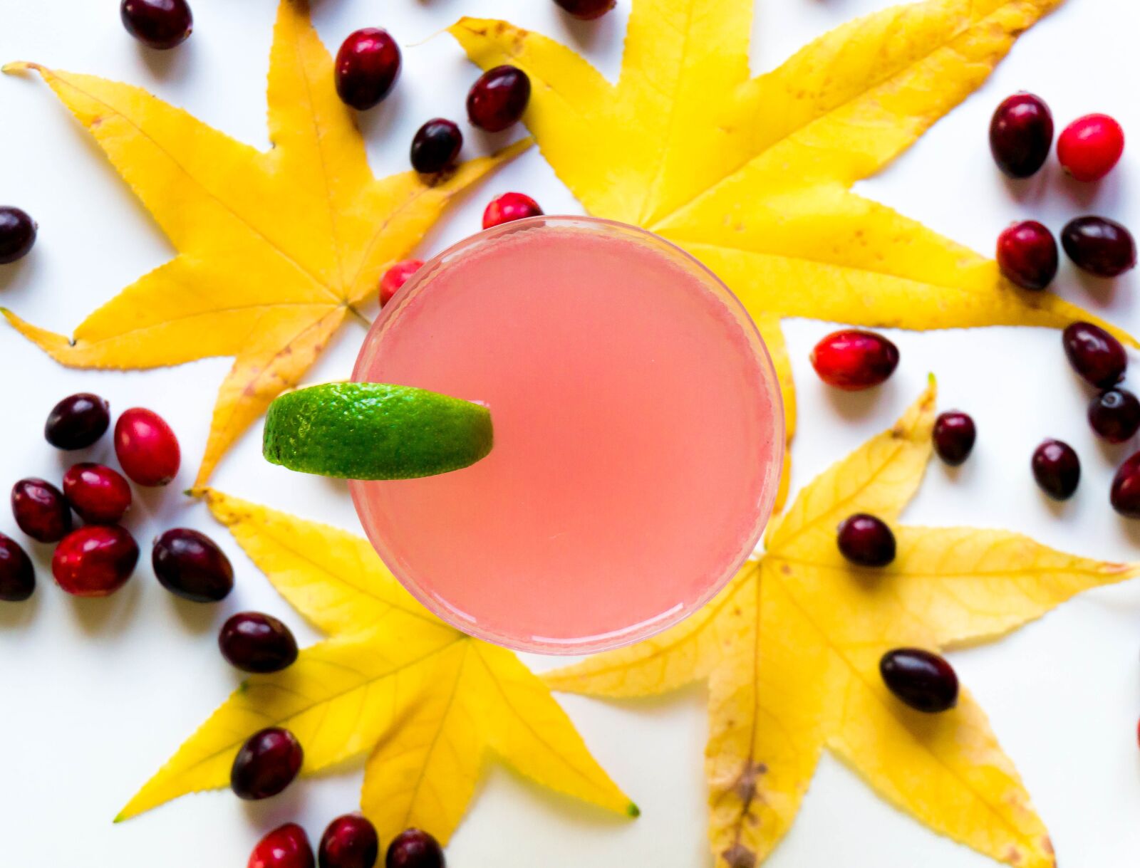 Sony Alpha a5000 (ILCE 5000) sample photo. Leaf, sweet, food photography