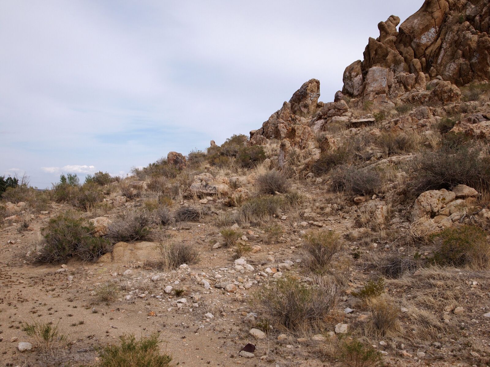Olympus PEN E-PL1 sample photo. Desert, landscape, scenic photography