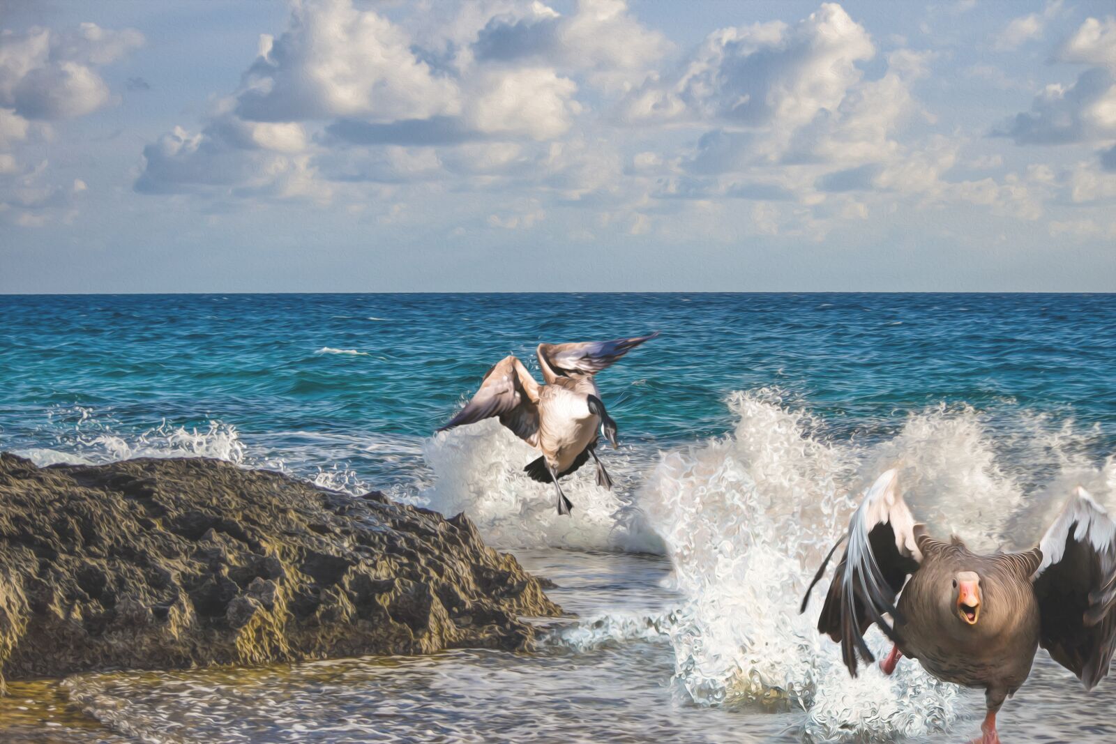 Nikon D3300 sample photo. Duck, goose, funny photography