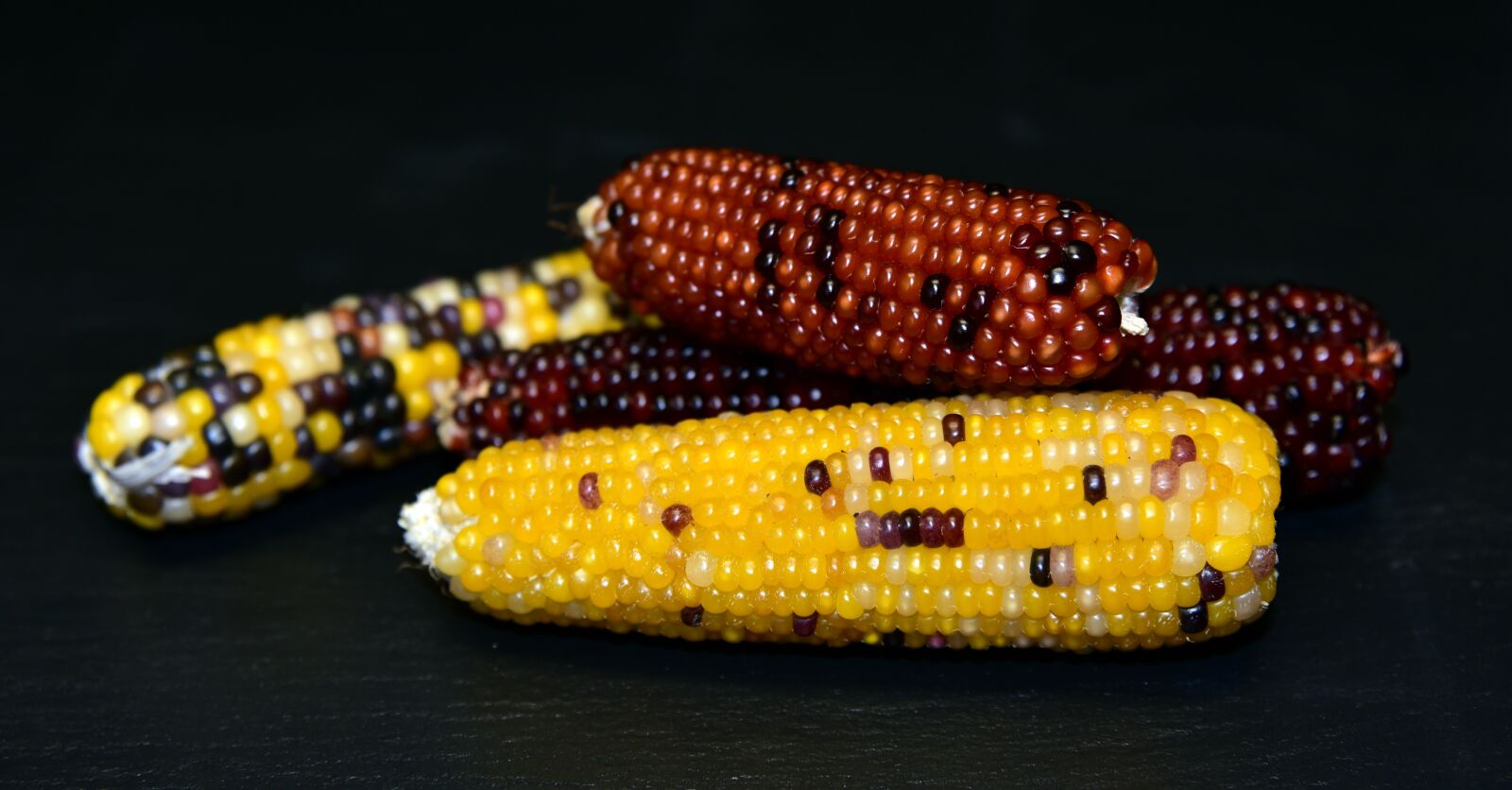 Nikon D750 sample photo. Corn, ornamental corn, decoration photography