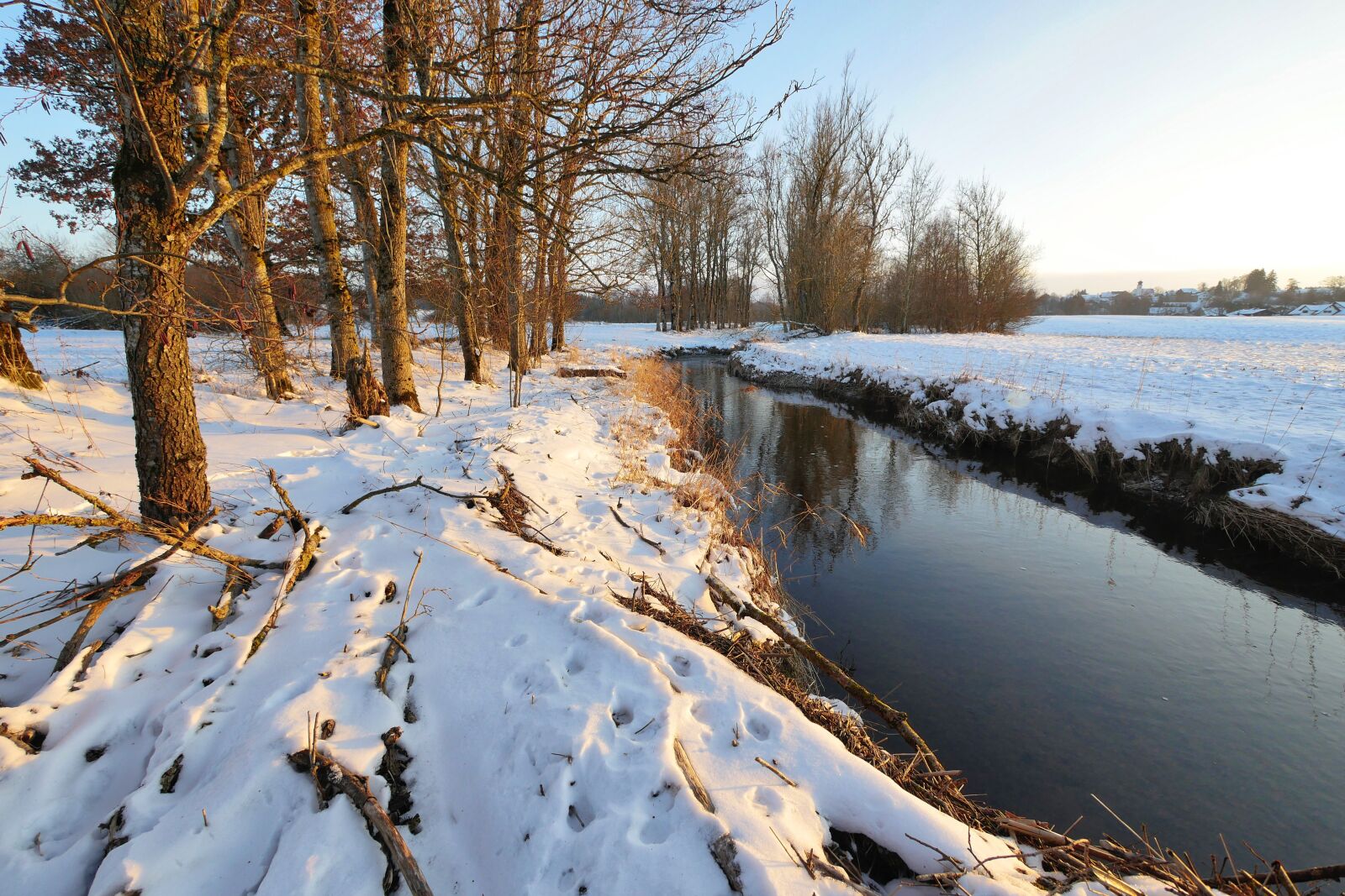 Panasonic Lumix DMC-GX8 sample photo. Winter, snow, nature photography