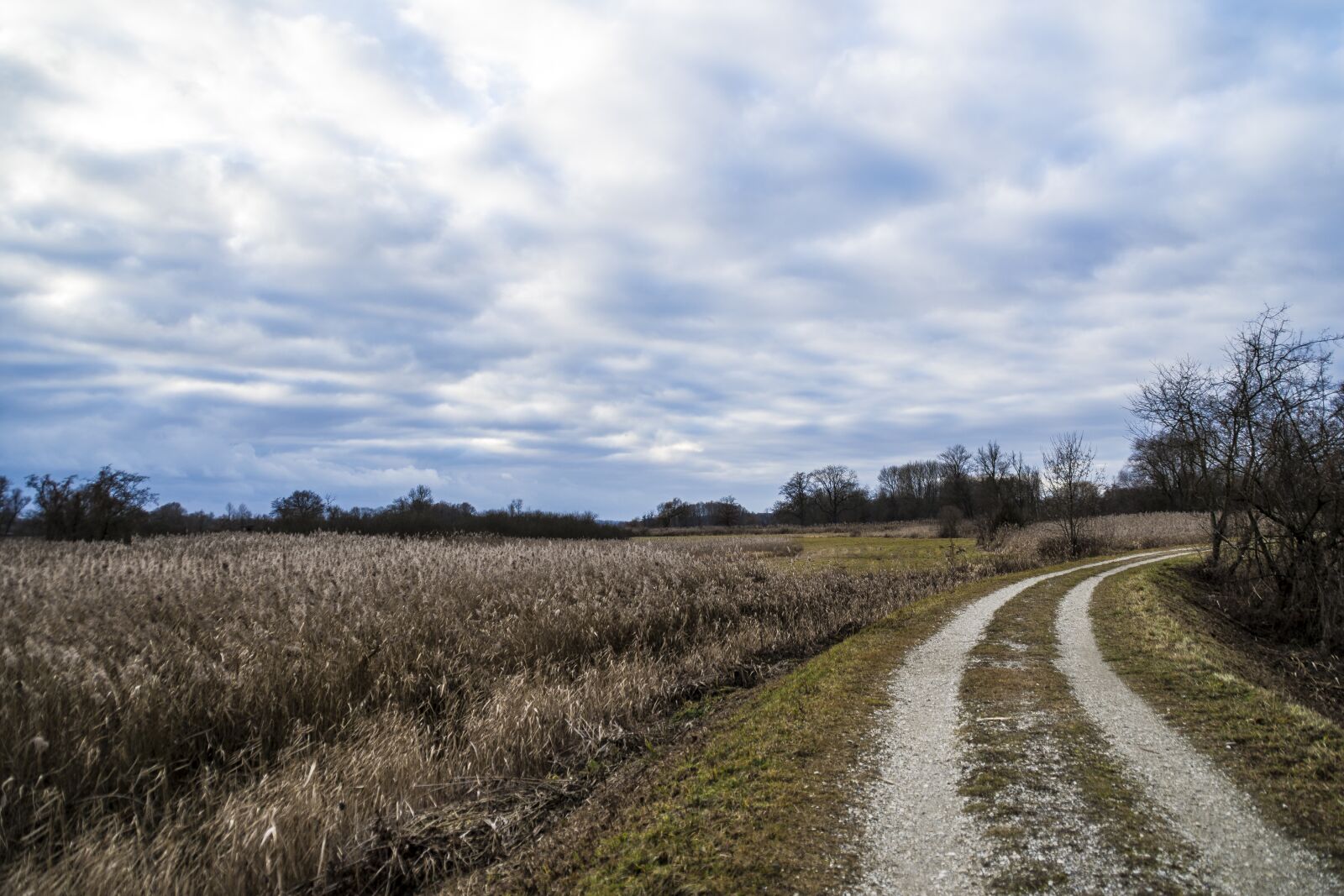 Nikon D7200 sample photo. Land route, sky, clouds photography