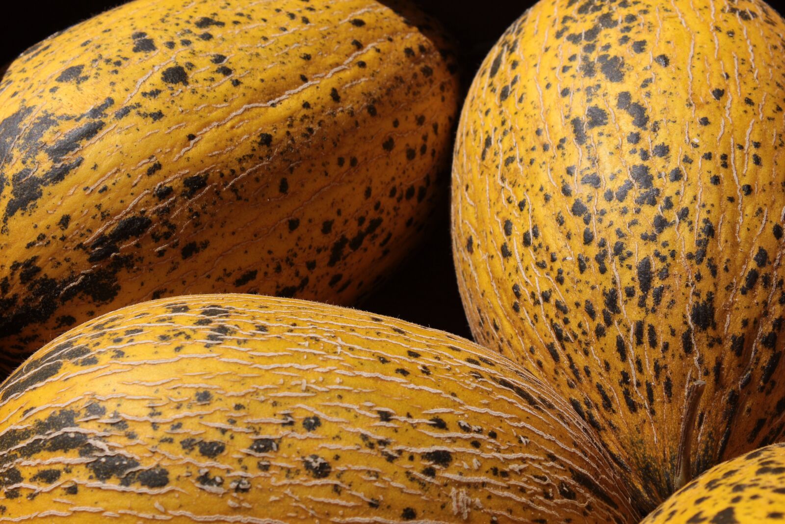 Canon EOS 1200D (EOS Rebel T5 / EOS Kiss X70 / EOS Hi) sample photo. Cantaloupe, sweet, fresh photography