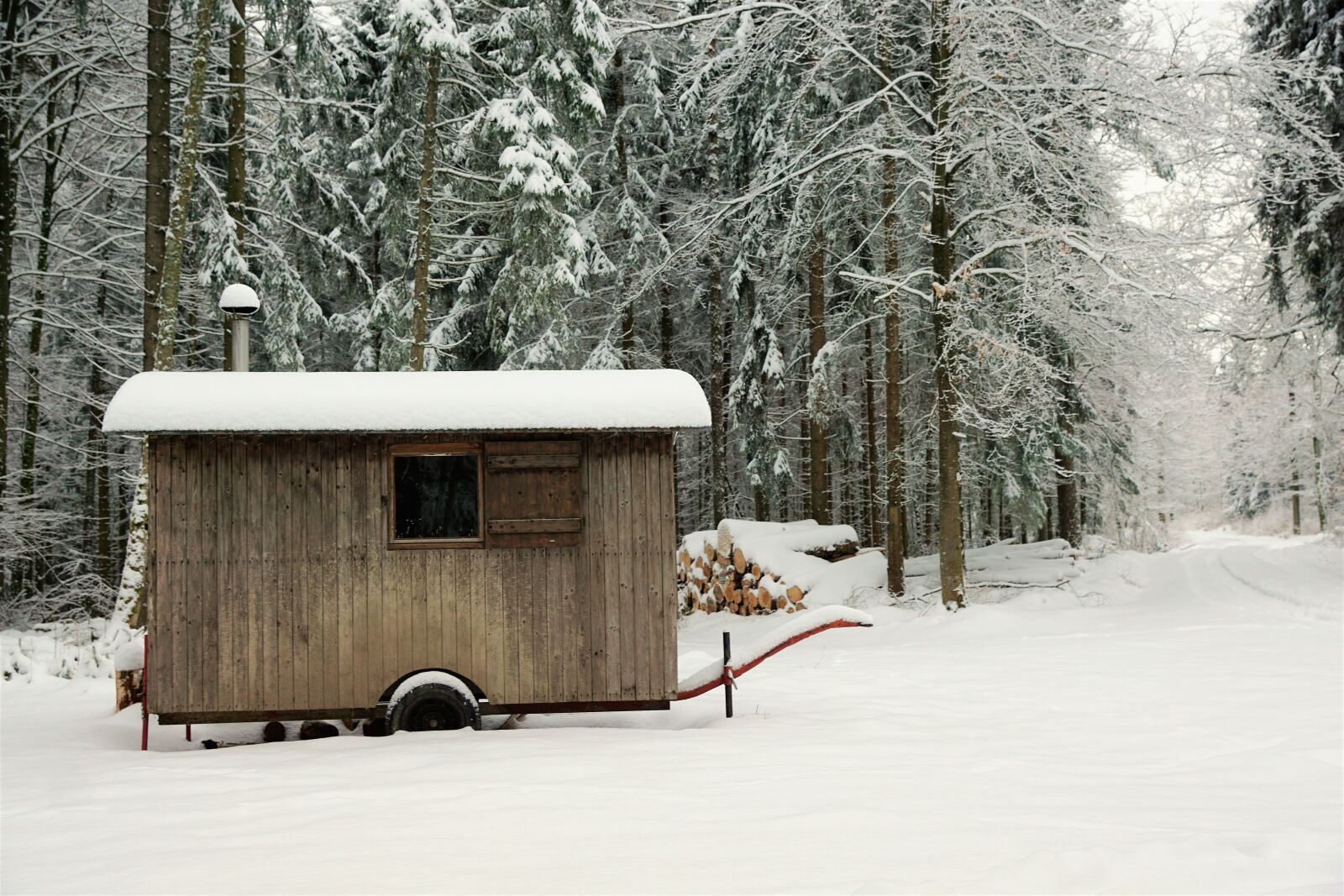 Sony ILCA-77M2 + Sony DT 16-50mm F2.8 SSM sample photo. Snow, winter, wood photography