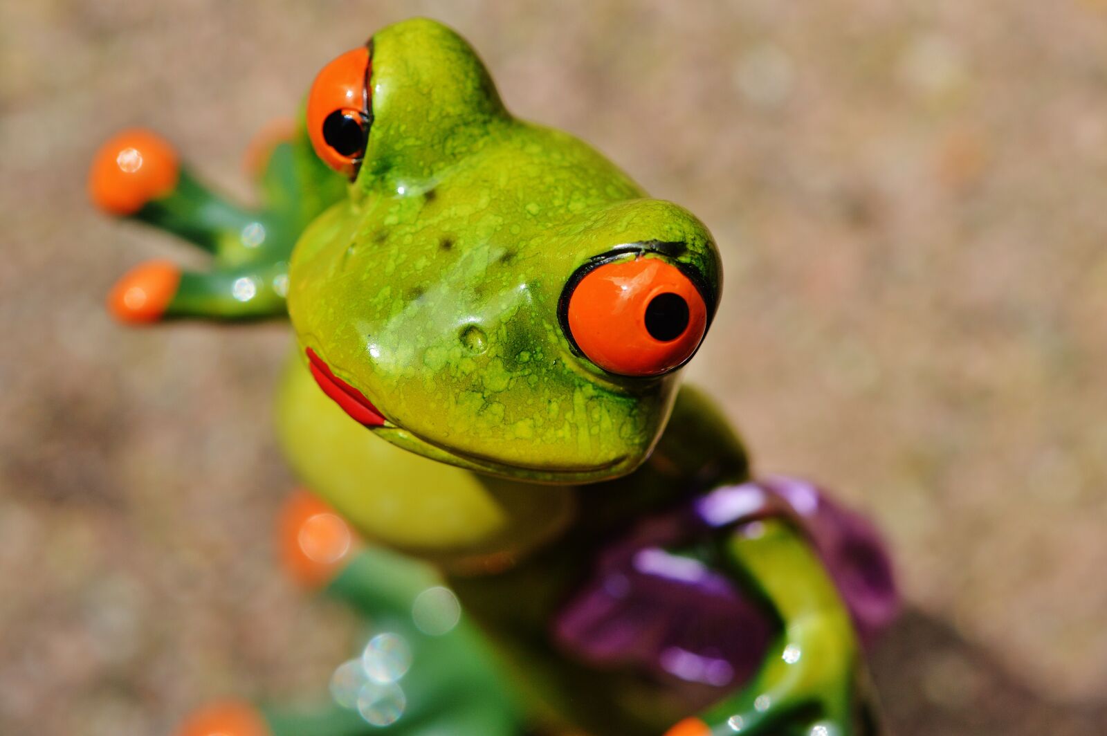 Nikon D3200 sample photo. Frog, chick, funny photography