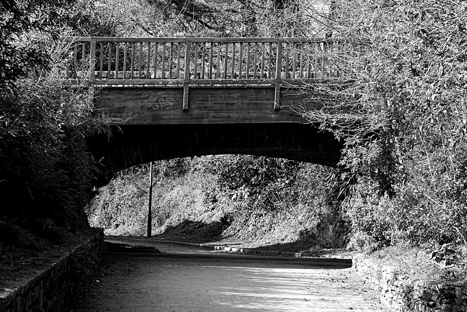 Sony a6000 sample photo. Allee, calme, la, nature photography