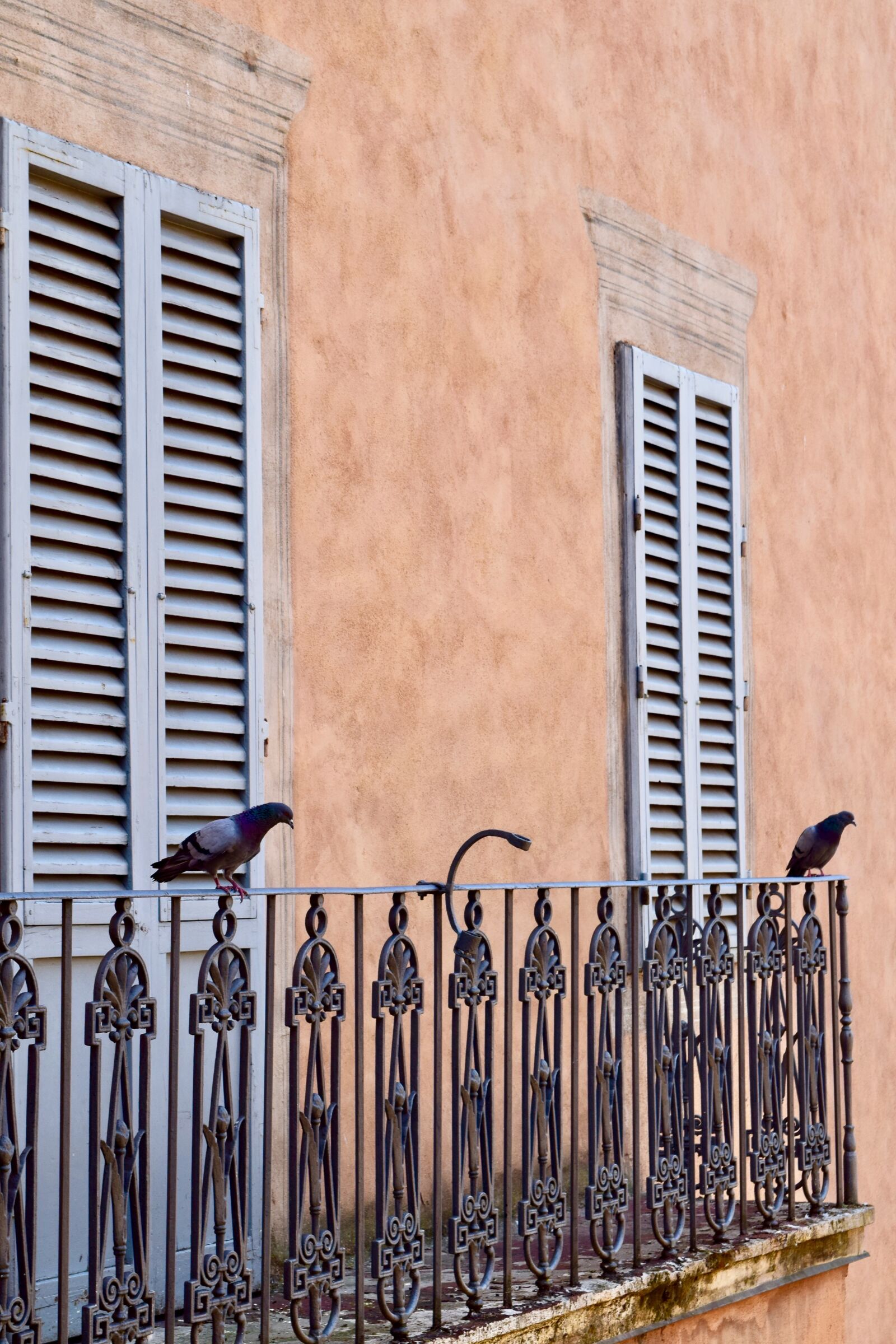 Nikon D5300 sample photo. Siena, summer, building photography