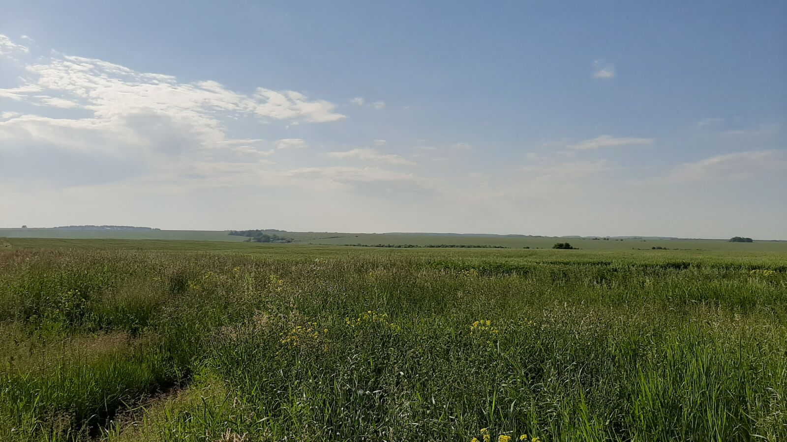 Samsung Galaxy A50 sample photo. Sky, field, landscape photography