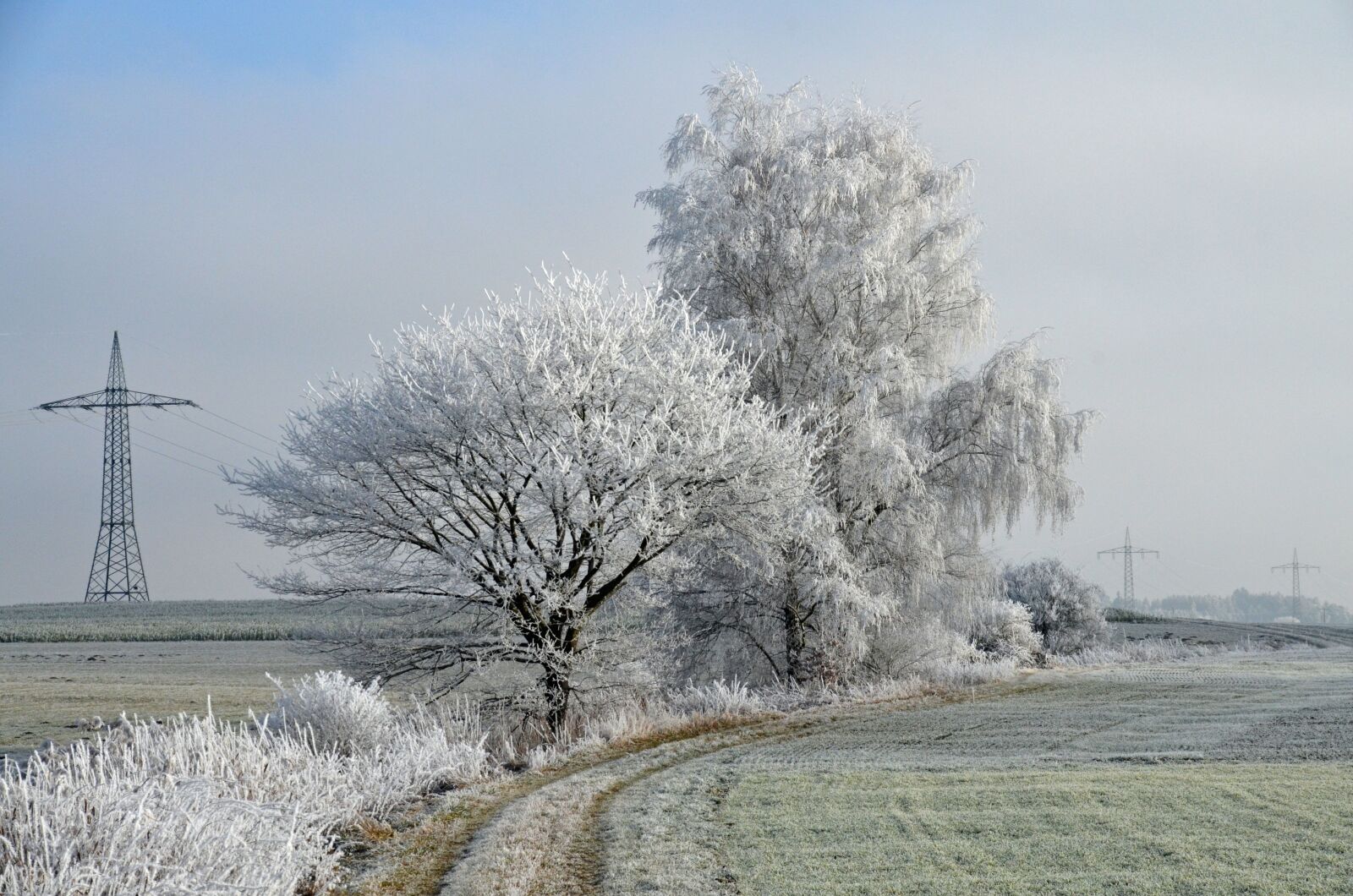 Nikon D5100 sample photo. Winter, landscape, wintry photography