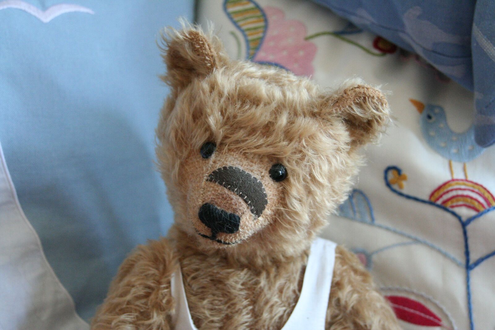 Canon EOS 350D (EOS Digital Rebel XT / EOS Kiss Digital N) sample photo. Teddy, teddy bear, toys photography