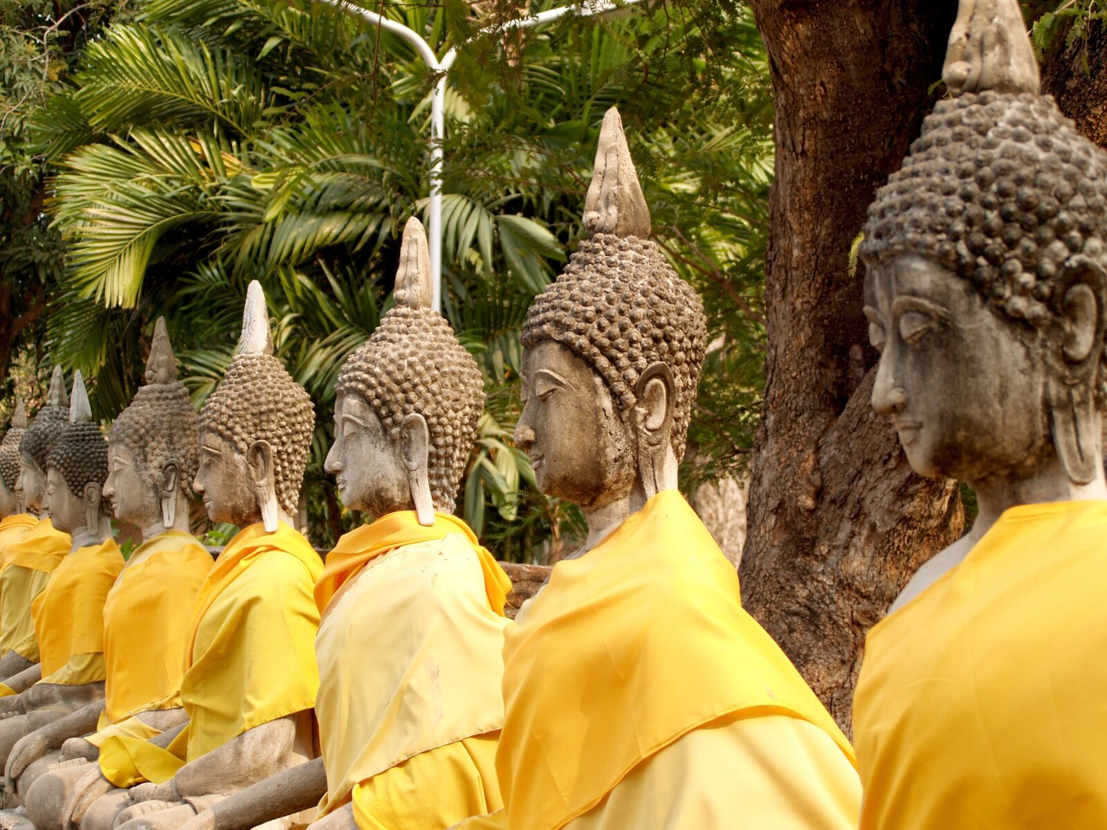 Olympus E-300 (EVOLT E-300) sample photo. Ayutthaya, thailand, ethnicity photography