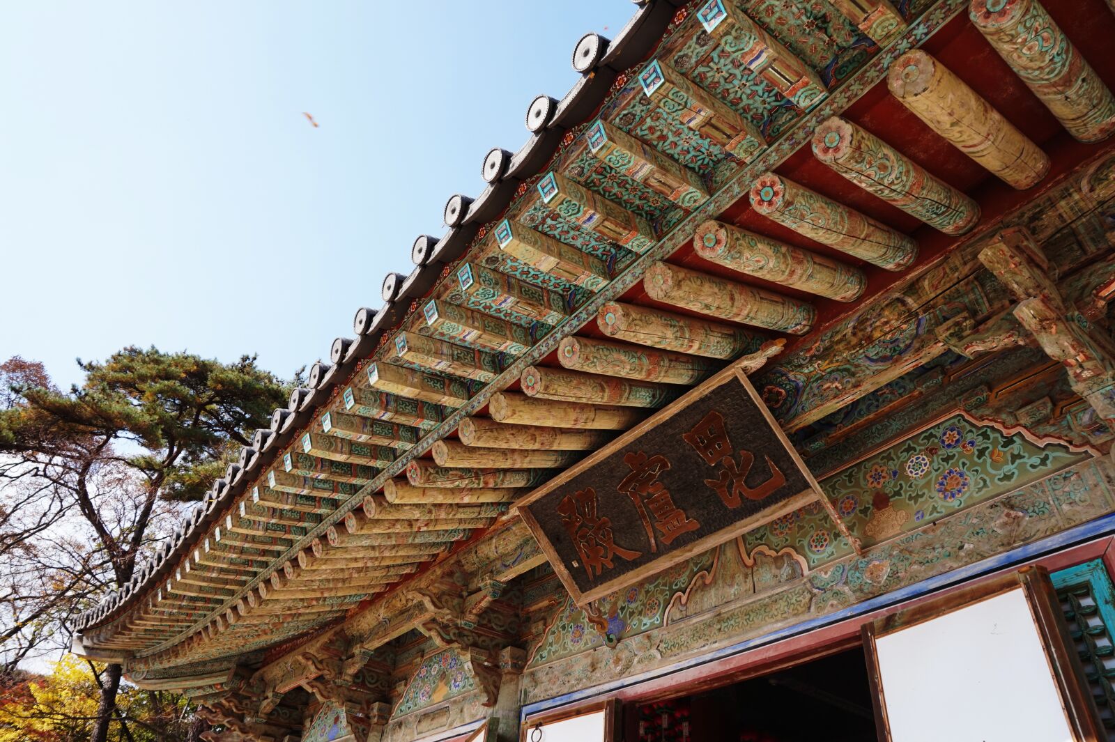 Sony Alpha a5000 (ILCE 5000) sample photo. The bulguksa temple, racing photography