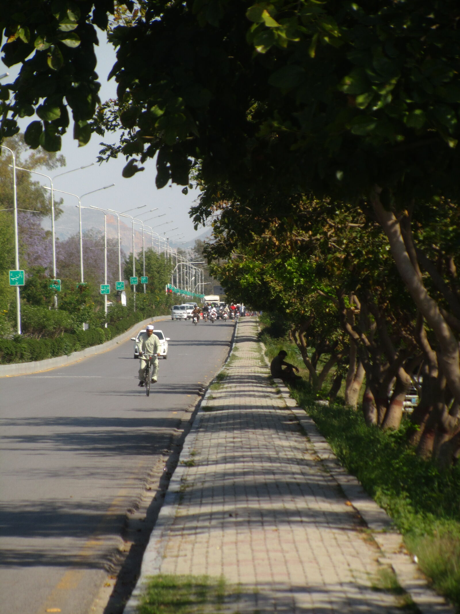 Canon PowerShot SX210 IS sample photo