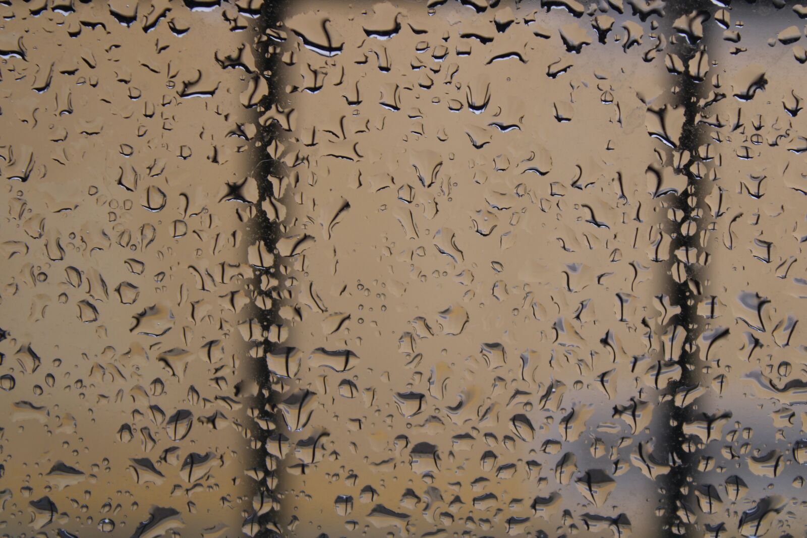 Canon EOS 2000D (EOS Rebel T7 / EOS Kiss X90 / EOS 1500D) sample photo. Rain, drops, window photography