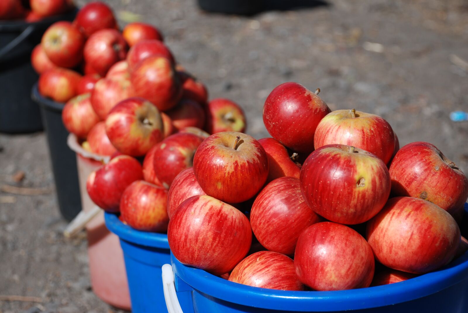 Nikon D80 sample photo. Apples, roadside sale, summer photography