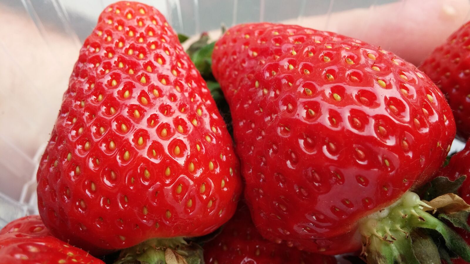 LG G2 sample photo. Strawberry, fruit, summer photography
