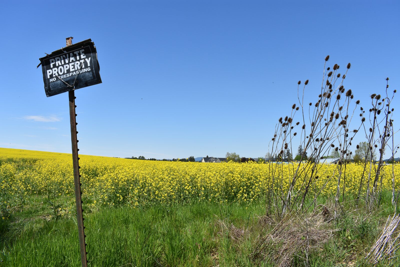 Nikon D3400 sample photo. Private property, sign, flowers photography