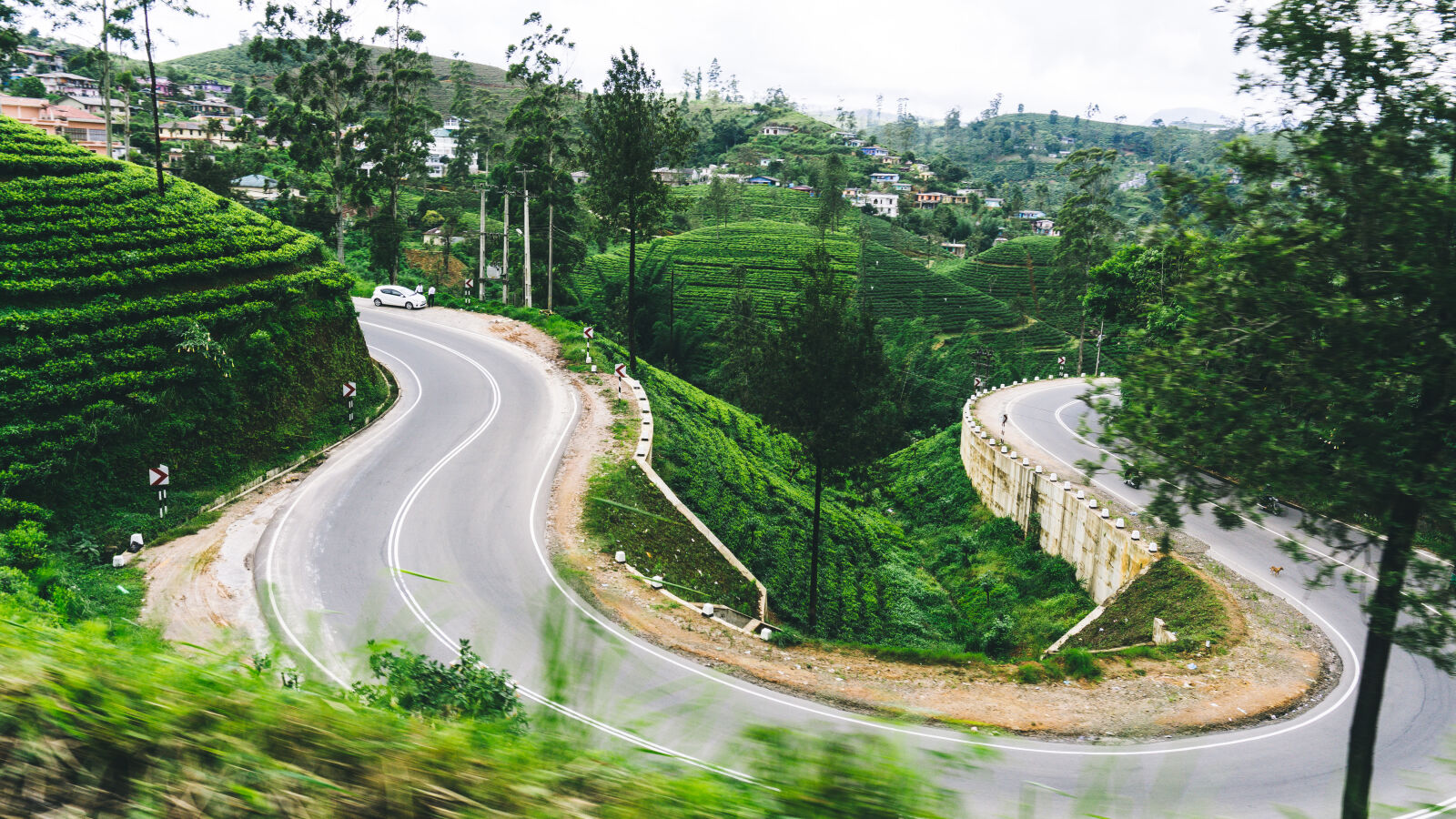 Sony E 16-50mm F3.5-5.6 PZ OSS sample photo. Plantation, sri, lanka, tea photography