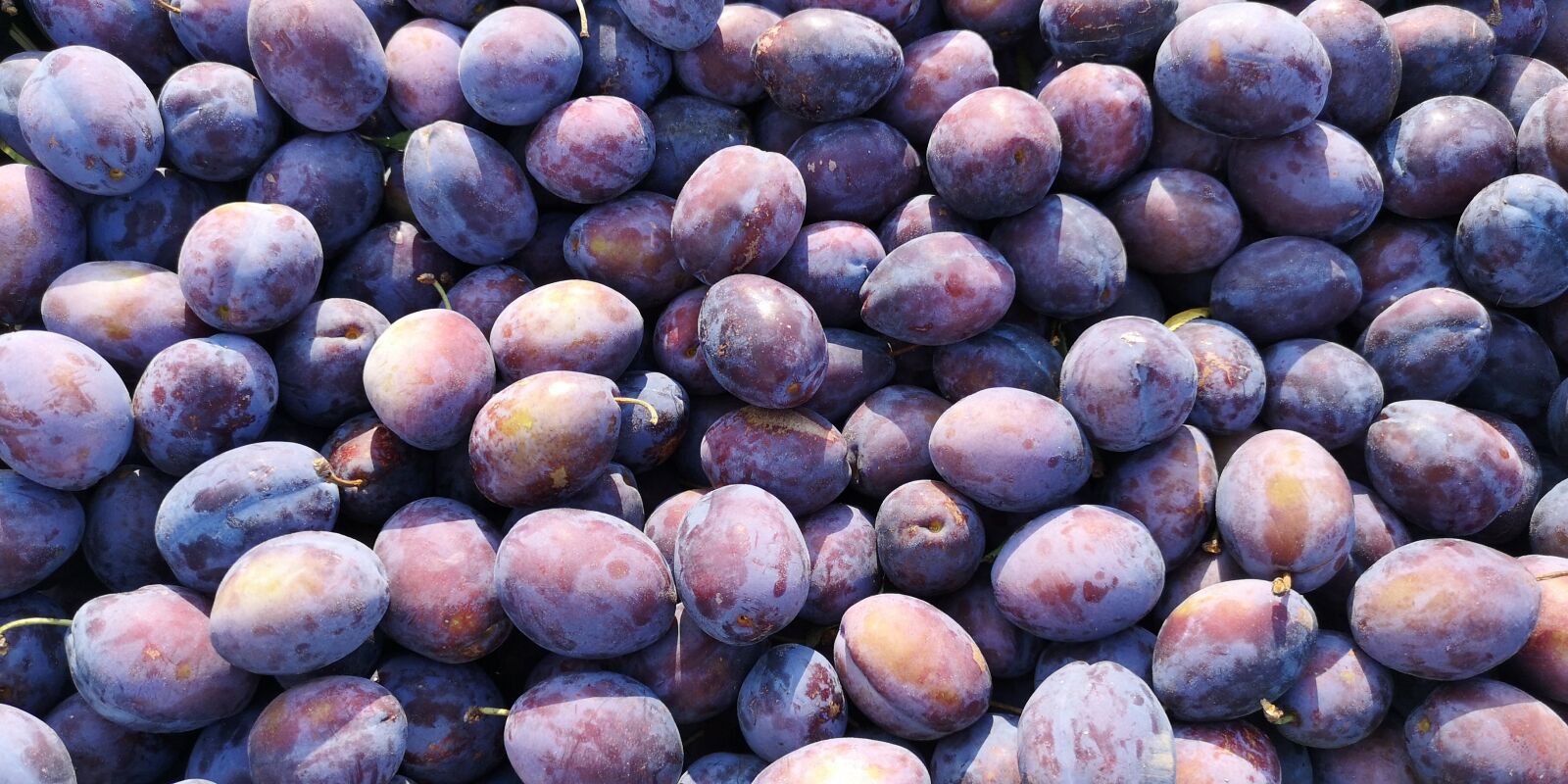 HUAWEI CLT-L29 sample photo. Plums, fruits, natural photography