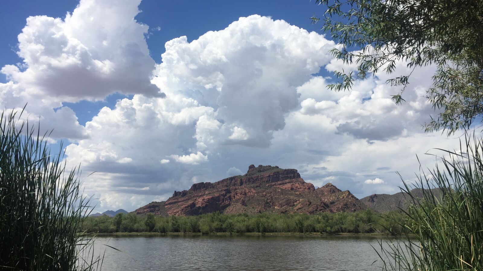 iPhone 6 back camera 4.15mm f/2.2 sample photo. Red mountain, mesa arizona photography
