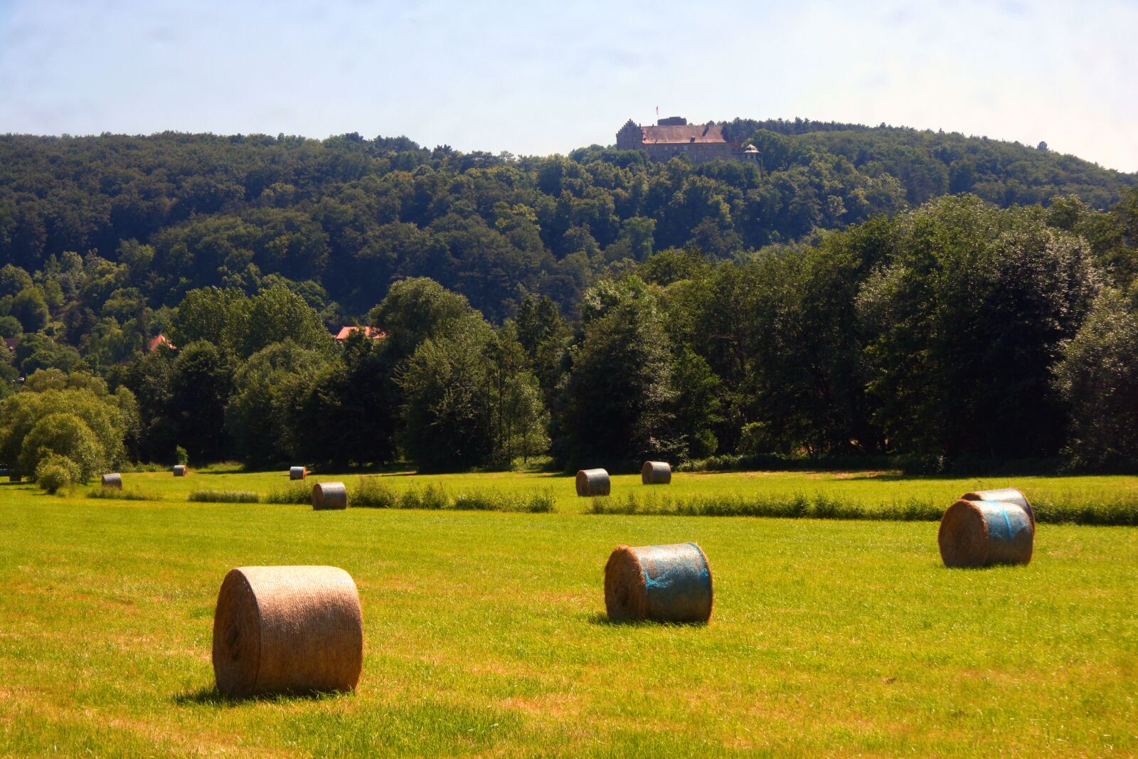 Canon EOS 30D sample photo. Spring, hay, hay bales photography