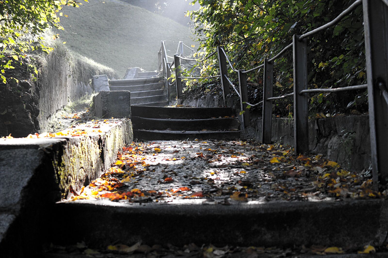 Canon EOS 600D (Rebel EOS T3i / EOS Kiss X5) sample photo. Staircase, stairs, mystical photography