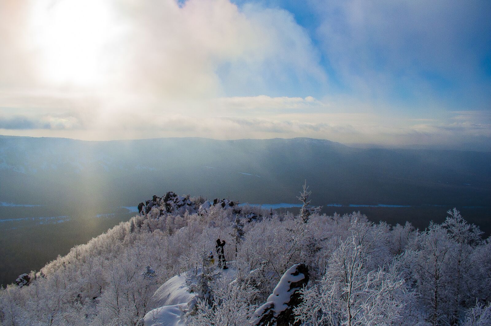 Nikon D5000 sample photo. Nature, outdoors, snow photography
