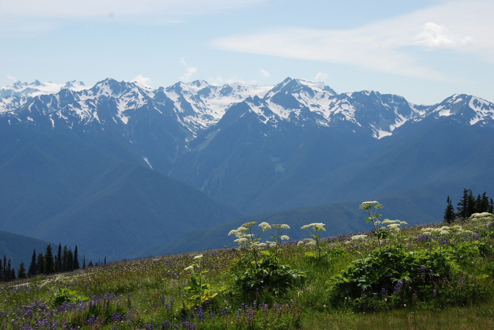 Nikon D80 sample photo. Mountain, mountain ridge, ridge photography