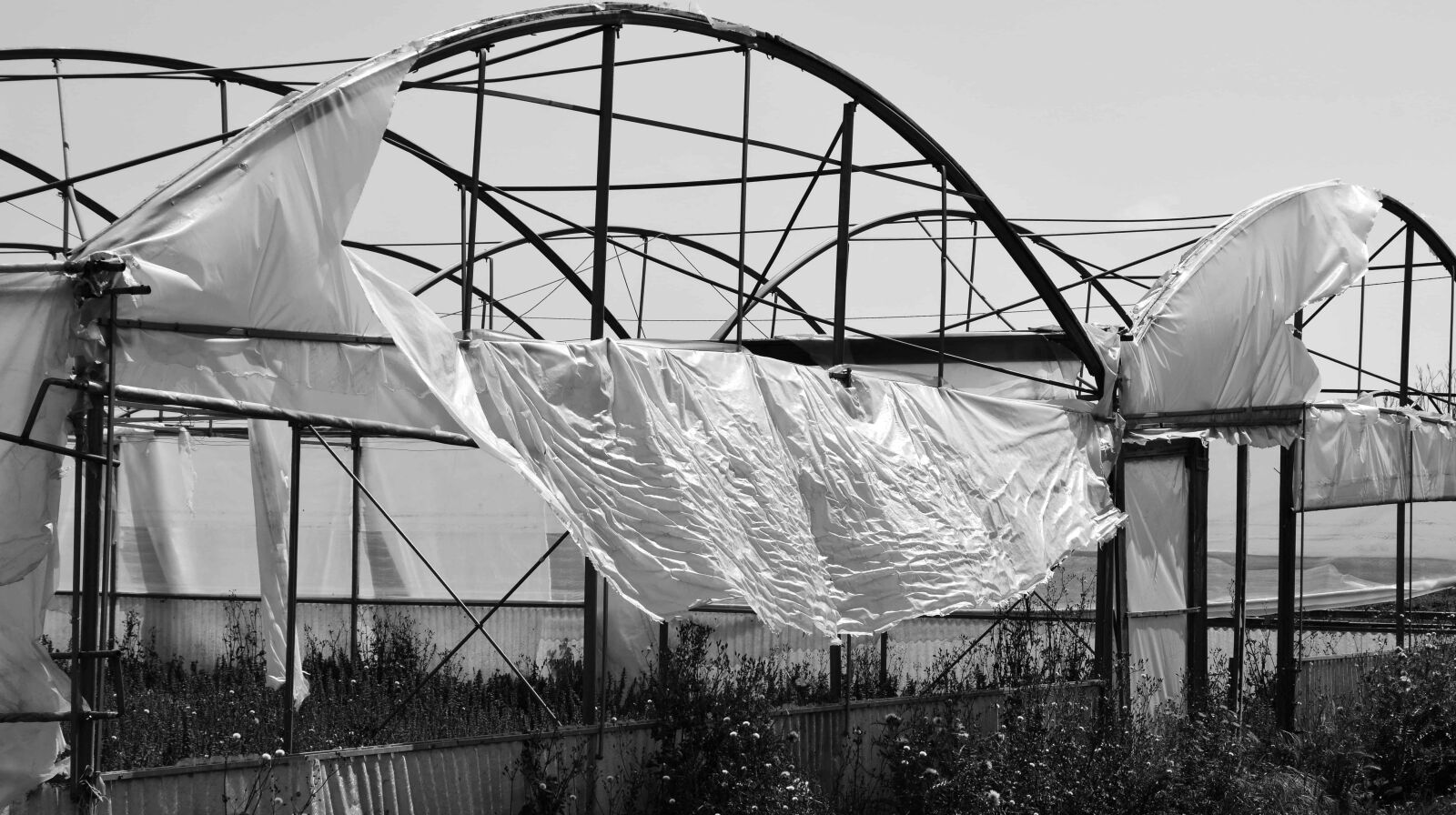 Nikon D3300 sample photo. Architecture, monochrome, greenhouse, construction photography