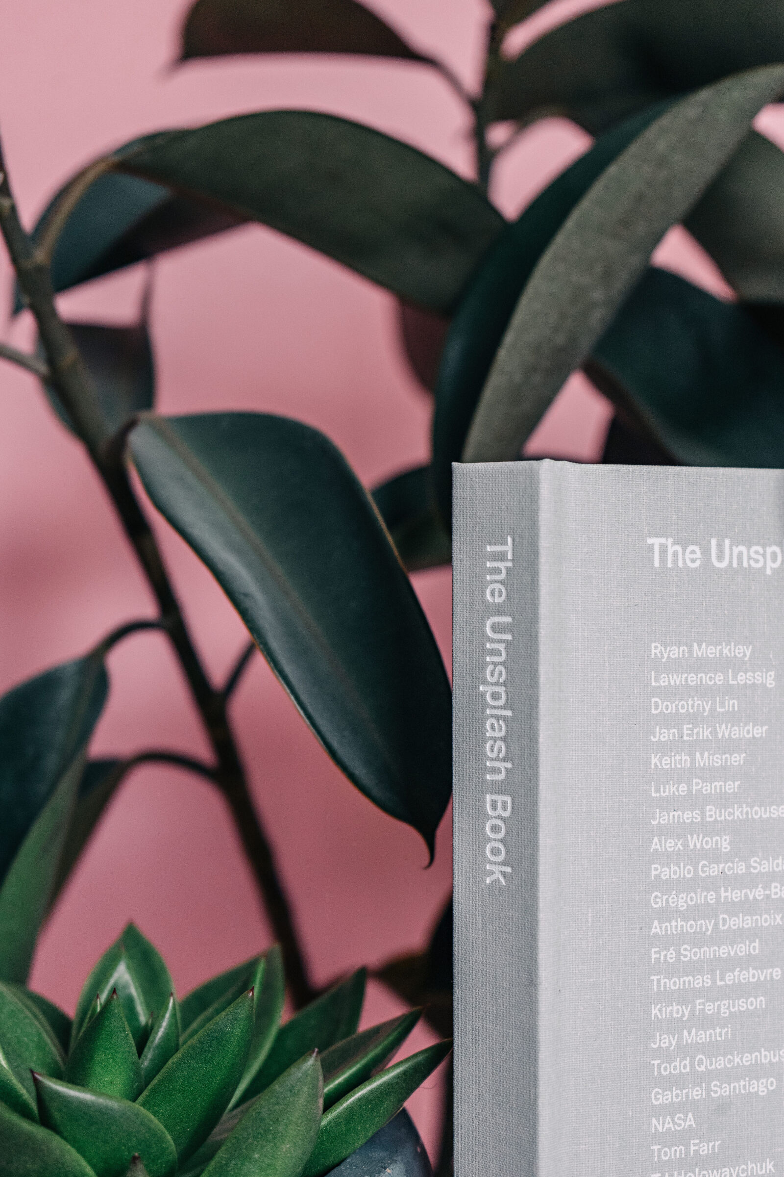 Sony a7 II + Sony FE 28-70mm F3.5-5.6 OSS sample photo. Blur, book, botanical, branch photography