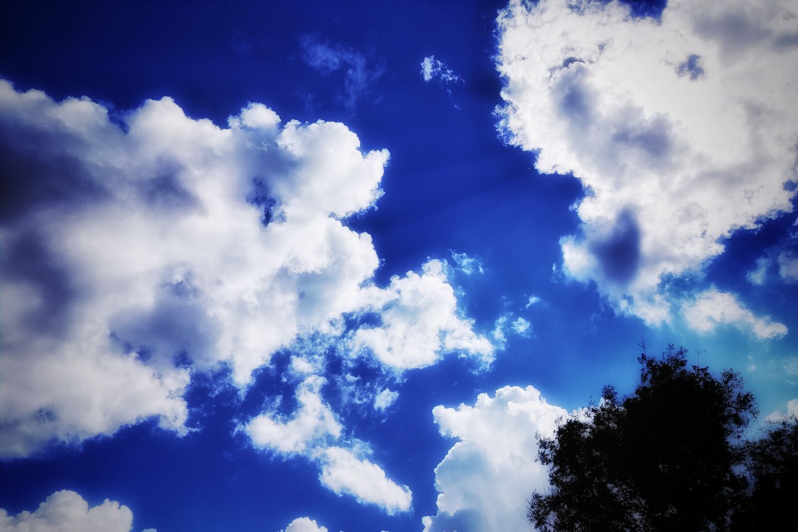 OnePlus AC2001 sample photo. Nature, sky, beautiful photography