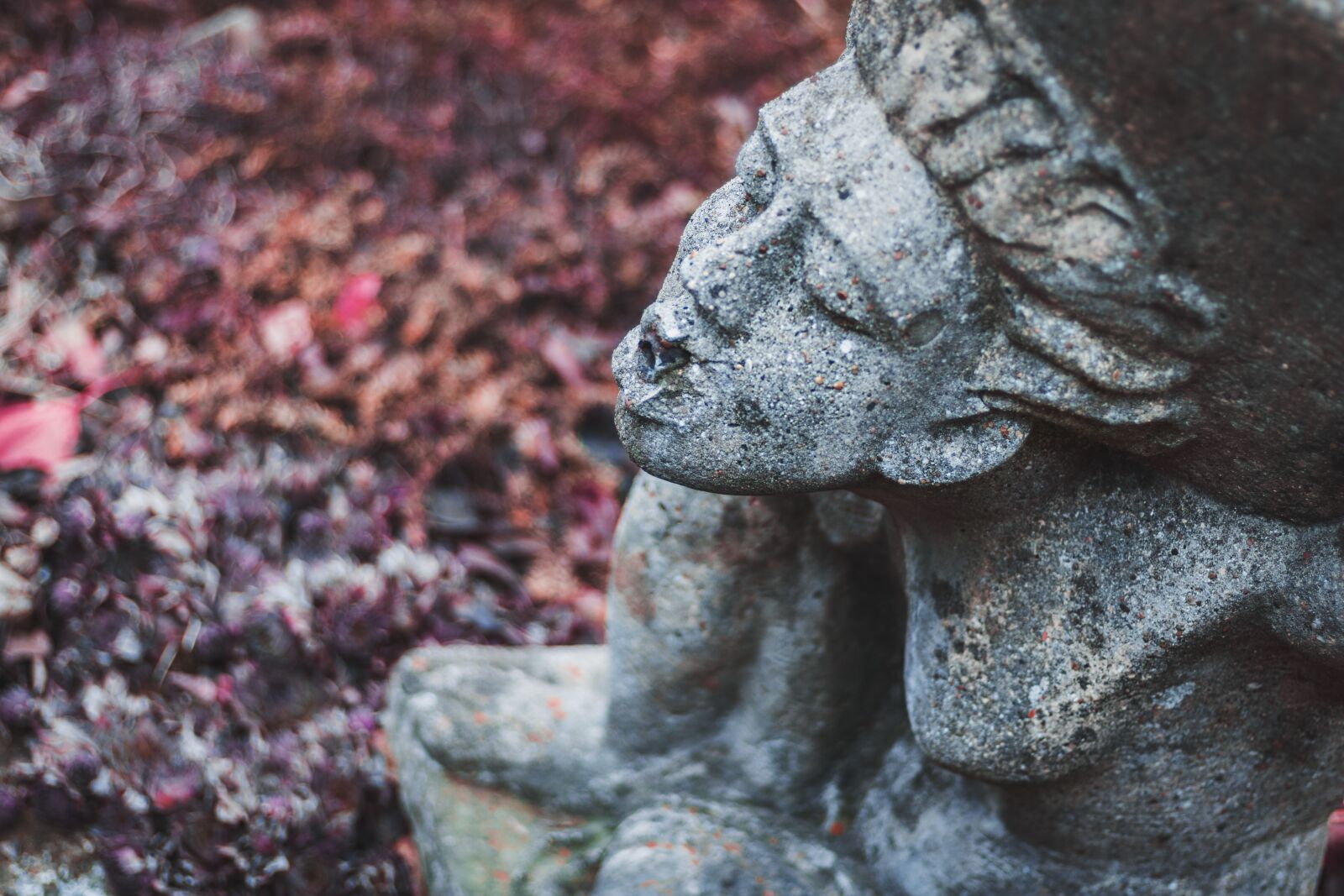 Canon EOS 750D (EOS Rebel T6i / EOS Kiss X8i) sample photo. Architecture, art, blur photography