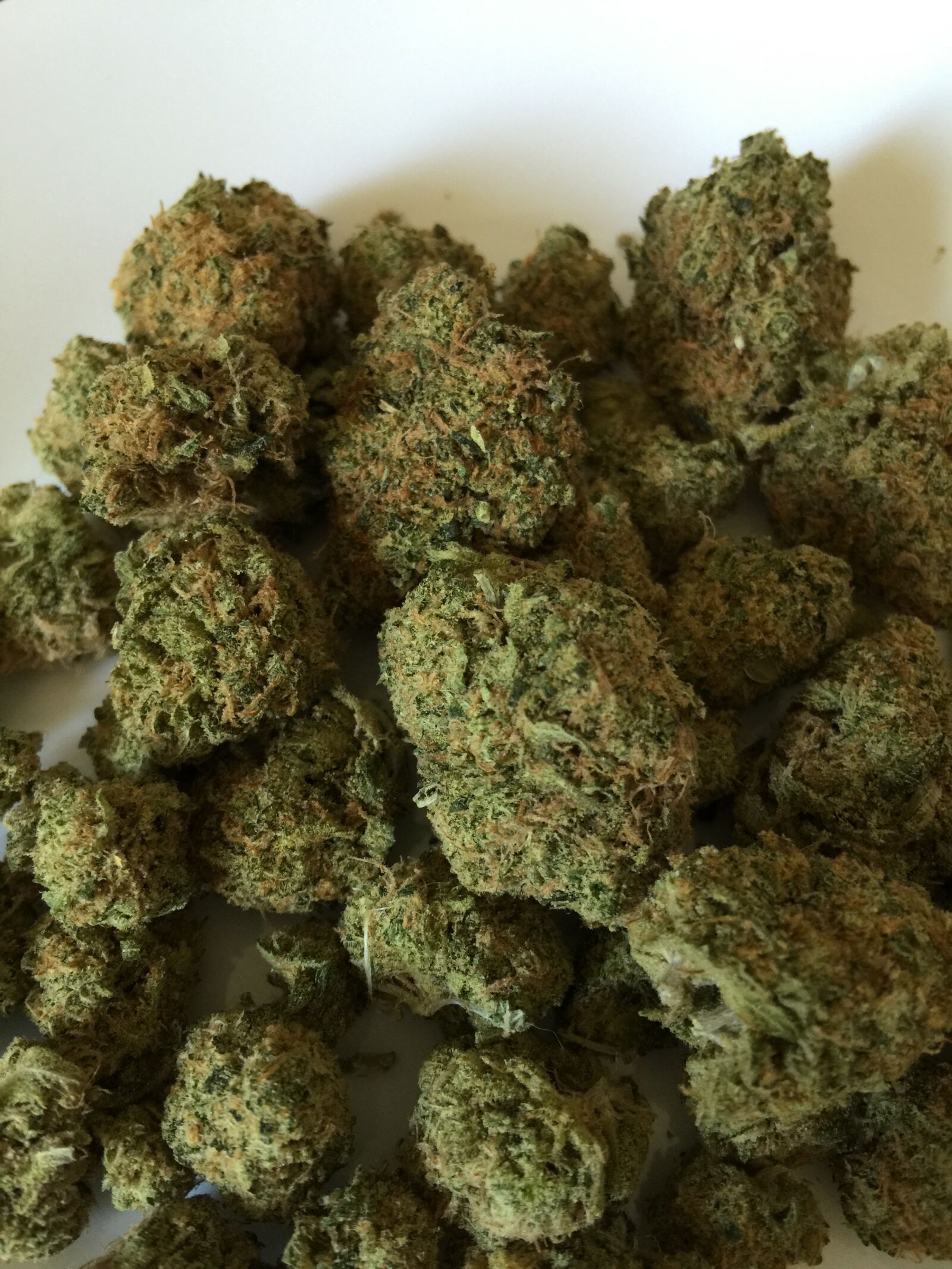 iPhone 6 Plus back camera 4.15mm f/2.2 sample photo. Cannabis, marijuana, weed photography
