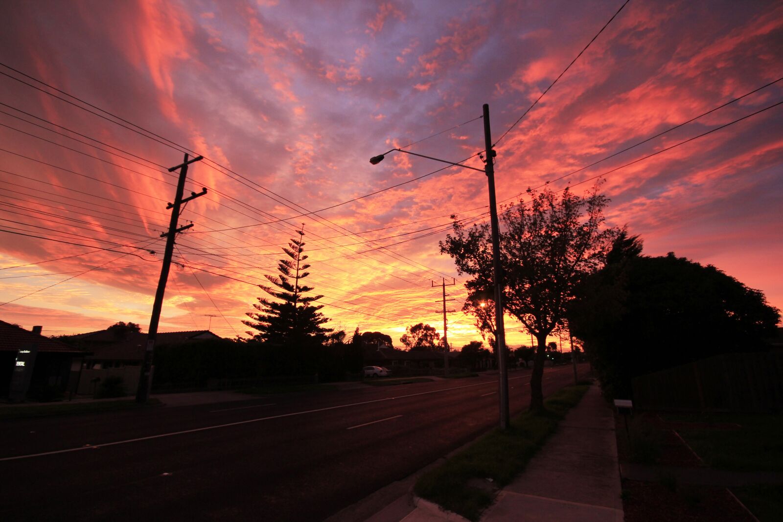 Canon EOS 550D (EOS Rebel T2i / EOS Kiss X4) sample photo. Bundoora, vic, australia photography