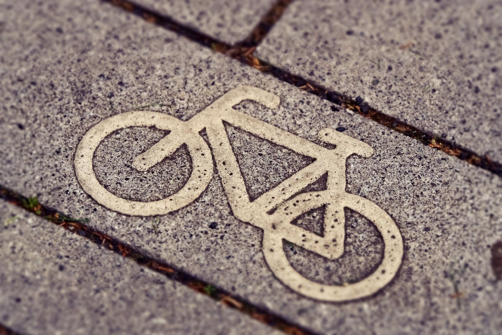 Olympus OM-D E-M10 sample photo. Cycle path, cycling, bicycle photography