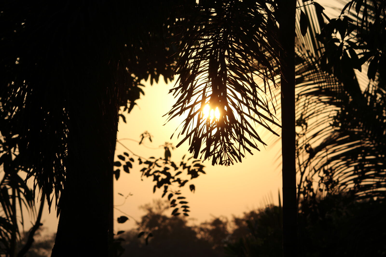 Canon EOS 1200D (EOS Rebel T5 / EOS Kiss X70 / EOS Hi) sample photo. Sunset, cannon photography