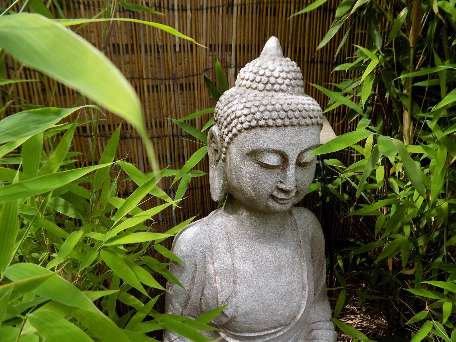 Nikon COOLPIX L340 sample photo. Buddha, zen, buddhism photography