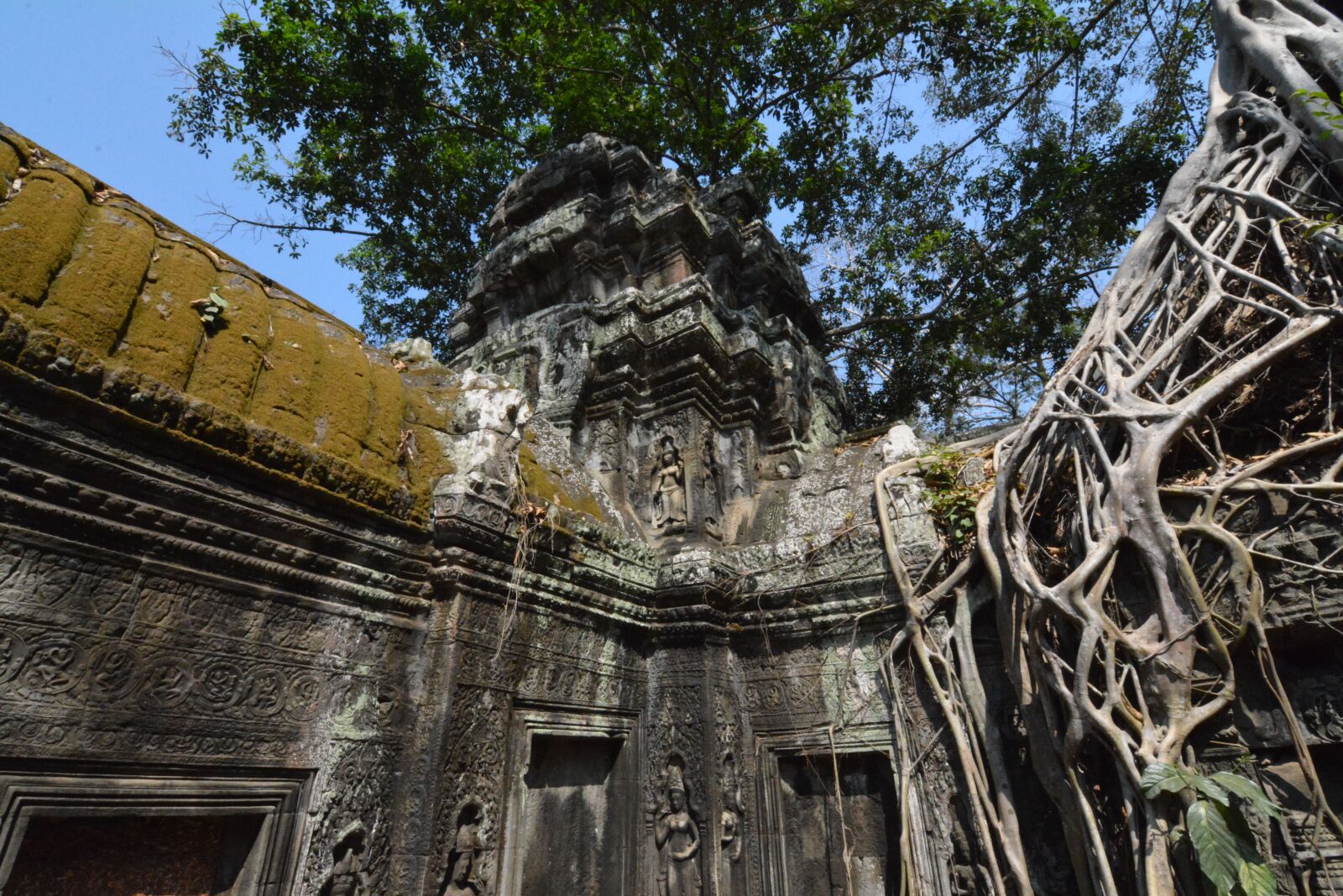 Nikon D7100 sample photo