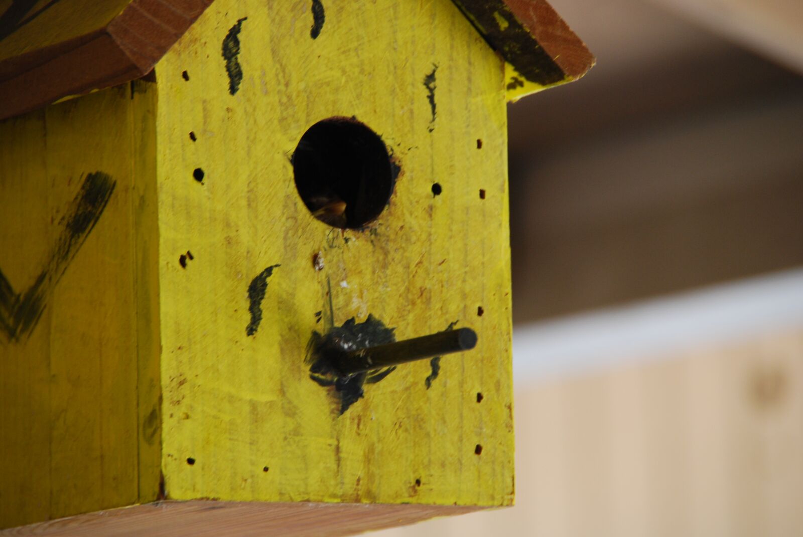 Nikon D60 sample photo. Birdhouse, yellow, bird photography
