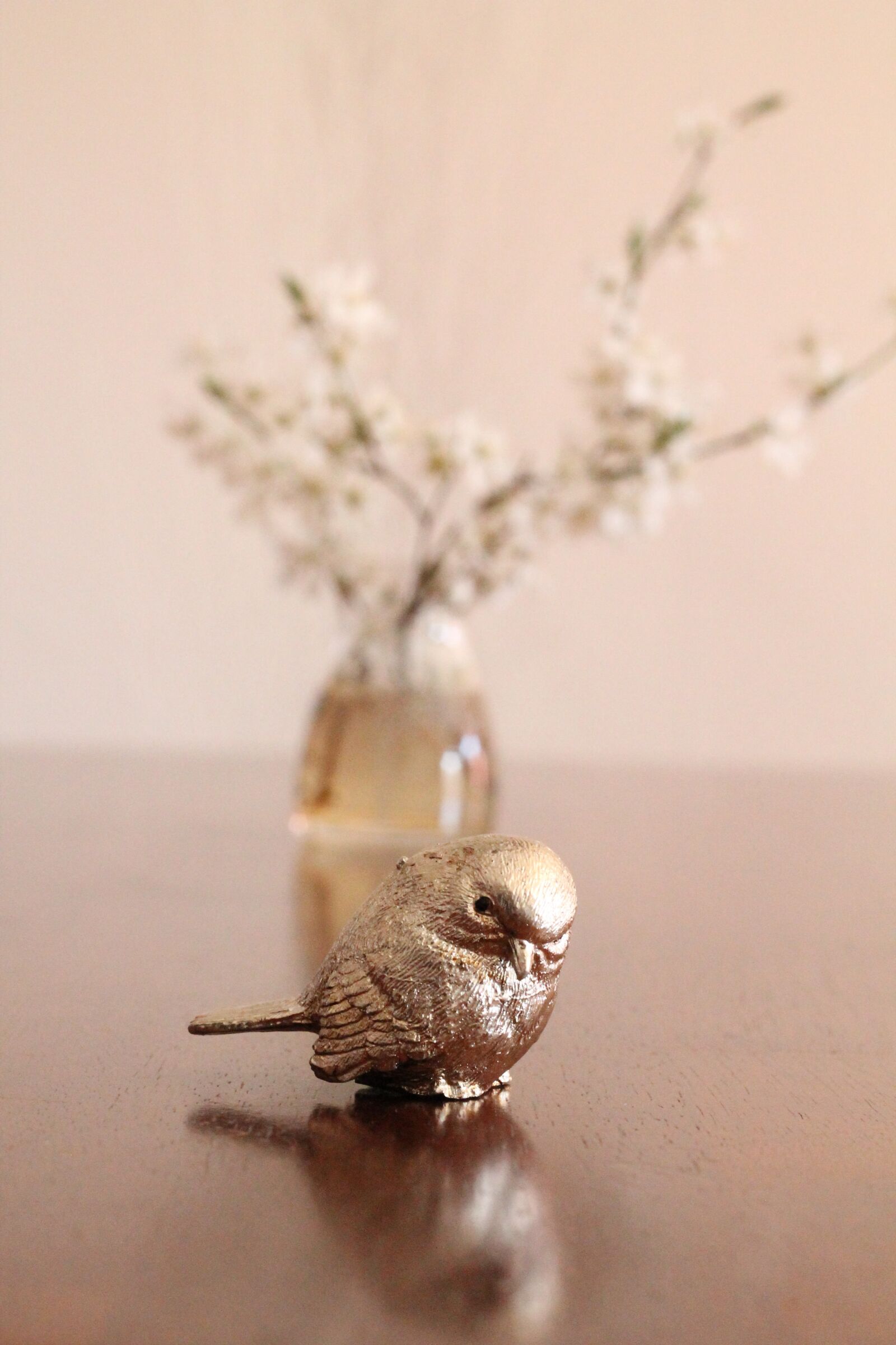Canon EOS 1100D (EOS Rebel T3 / EOS Kiss X50) + Canon EF 50mm F1.8 II sample photo. Still life, spring, cherry photography