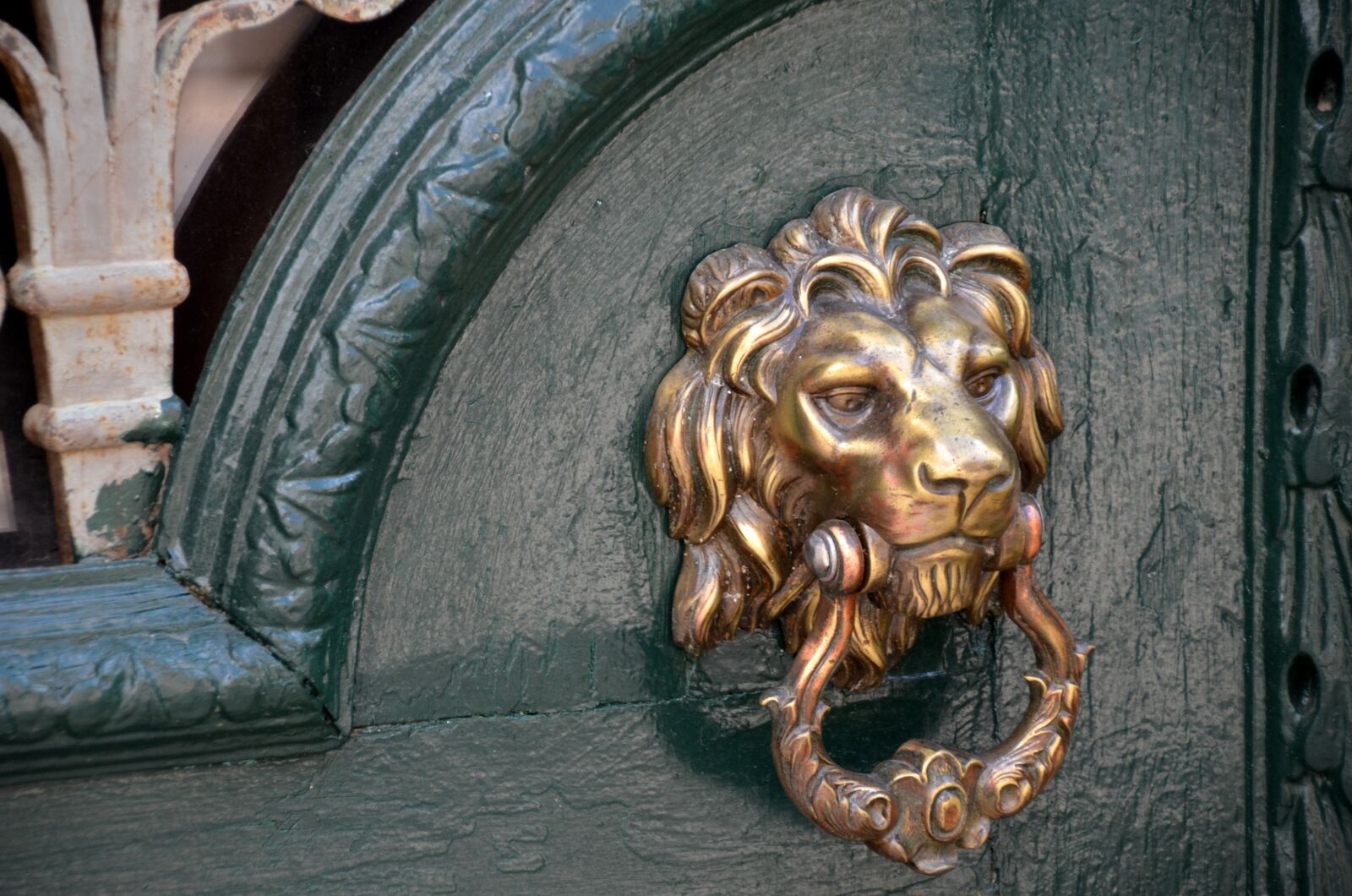 Nikon D5100 sample photo. Doorknocker, lion, input photography