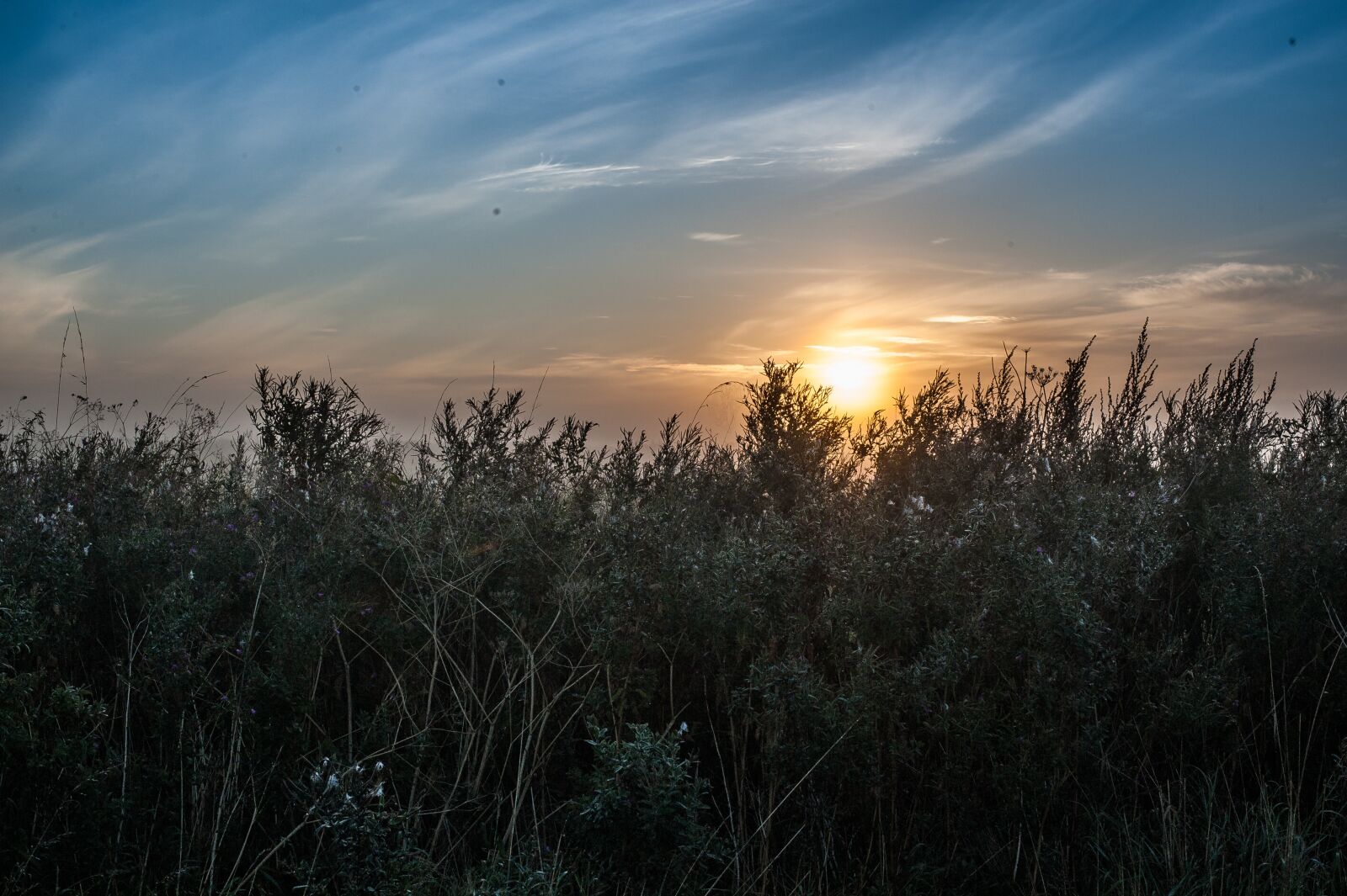Nikon D700 sample photo. Sunrise, sky, wildkreuter photography