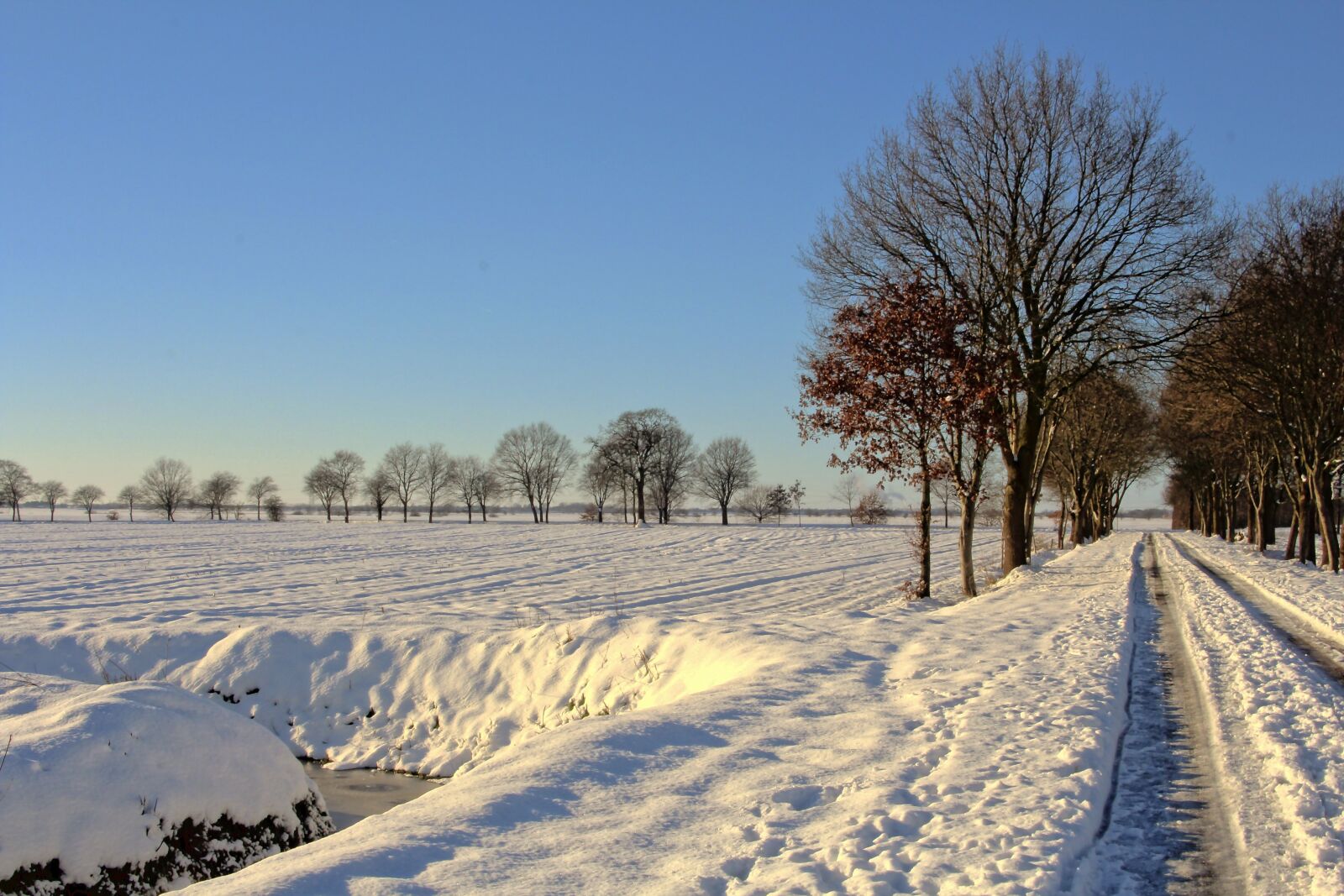 Canon EOS 600D (Rebel EOS T3i / EOS Kiss X5) sample photo. Snow, winter, way photography