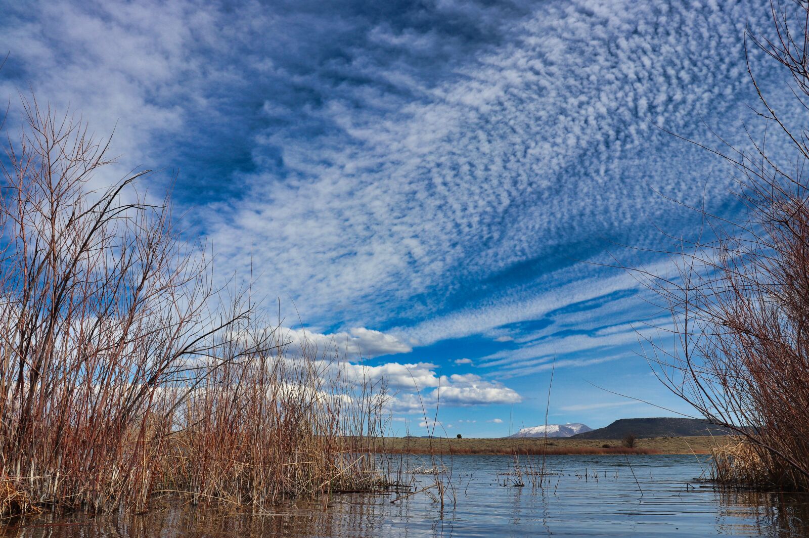 Canon EOS 200D (EOS Rebel SL2 / EOS Kiss X9) sample photo. Clouds, pond, water photography