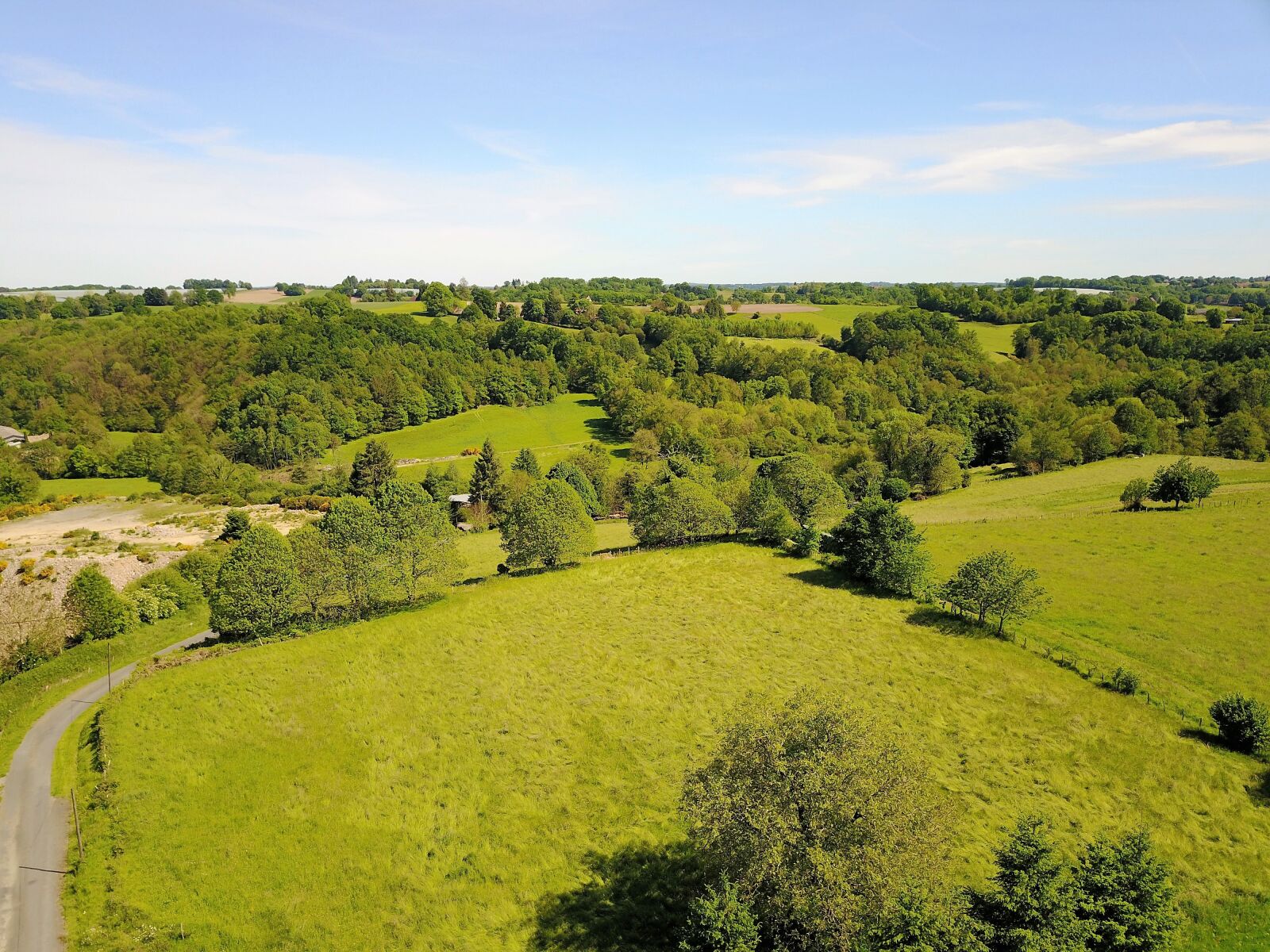 DJI FC220 sample photo. View, landscape, forest photography