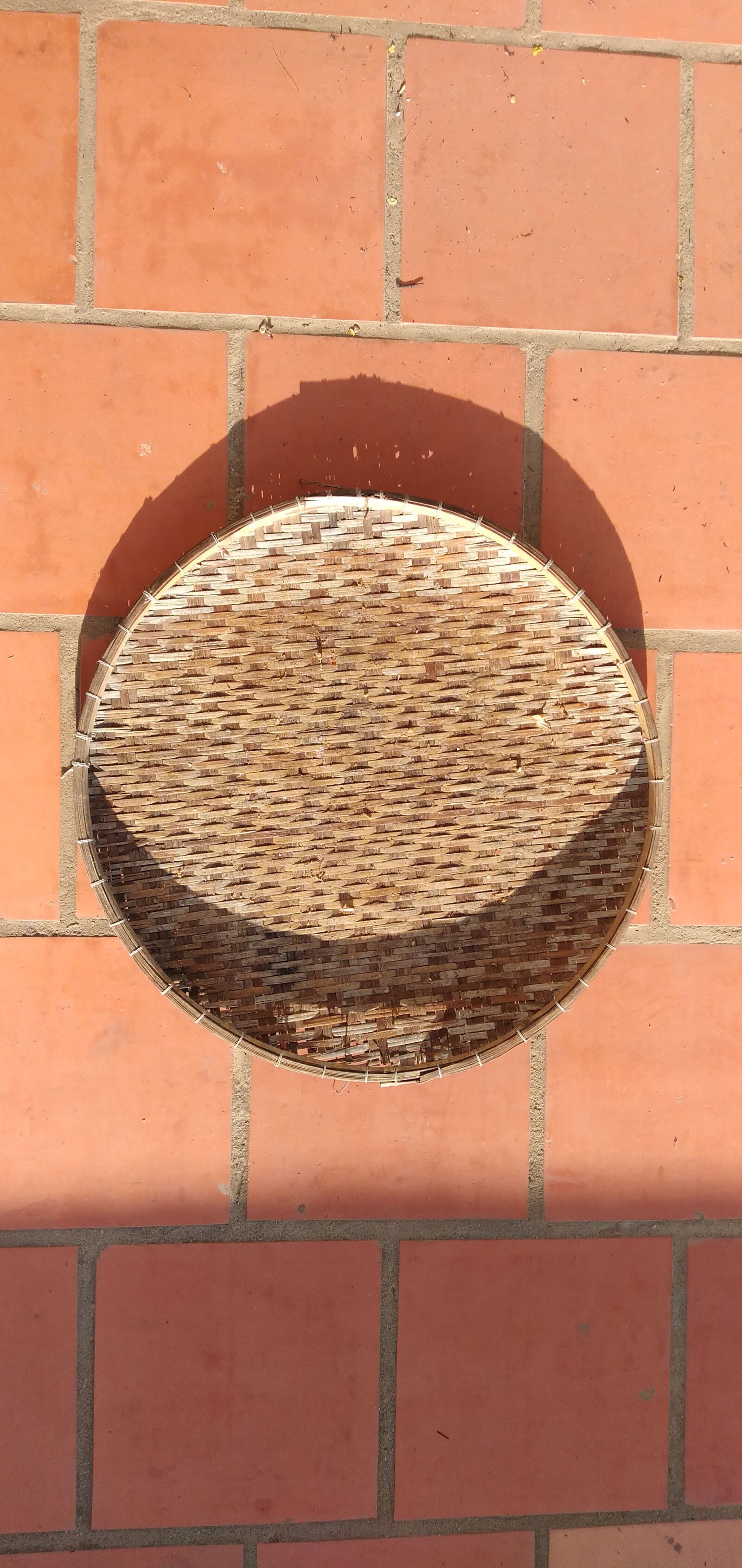 OPPO A3S sample photo. Circle, pitting, shadow photography