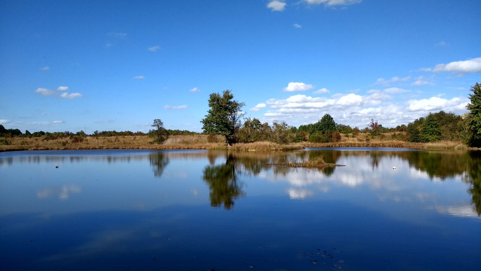 Motorola Moto G (4) sample photo. Water, sky, outdoor photography