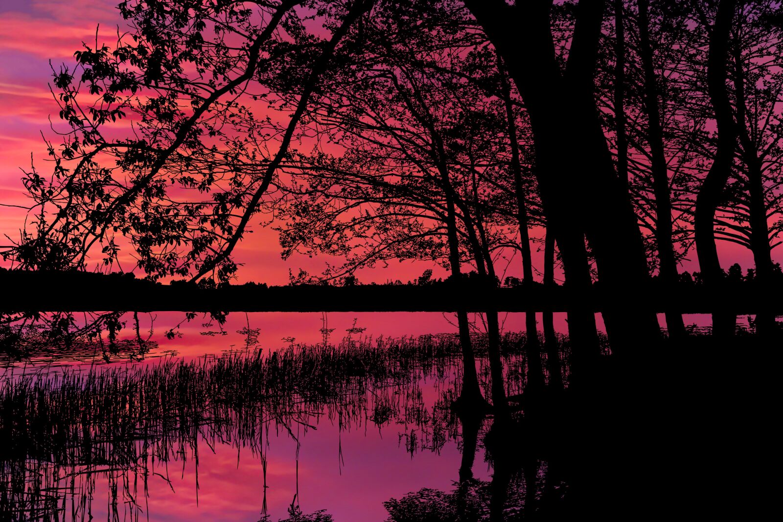 Canon EOS 700D (EOS Rebel T5i / EOS Kiss X7i) + Canon EF-S 18-55mm F3.5-5.6 IS STM sample photo. Lake, tree silhouettes, clouds photography