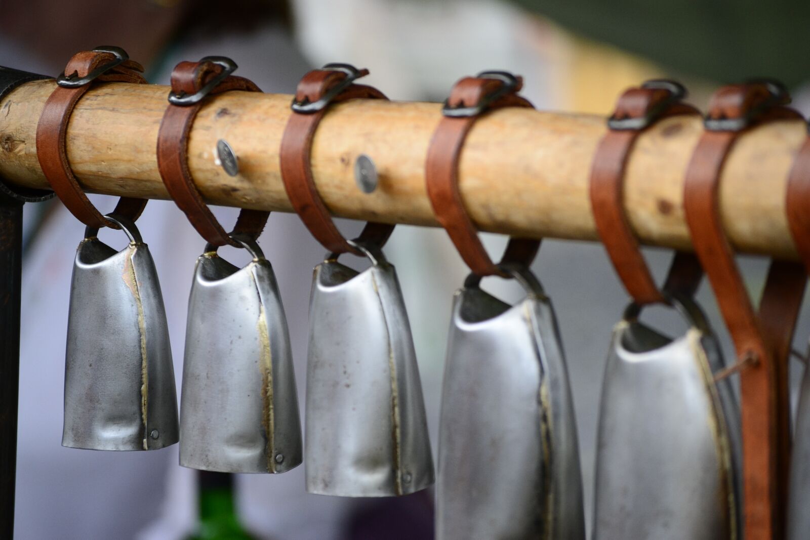 Nikon D3100 sample photo. Bells, the cows, the photography